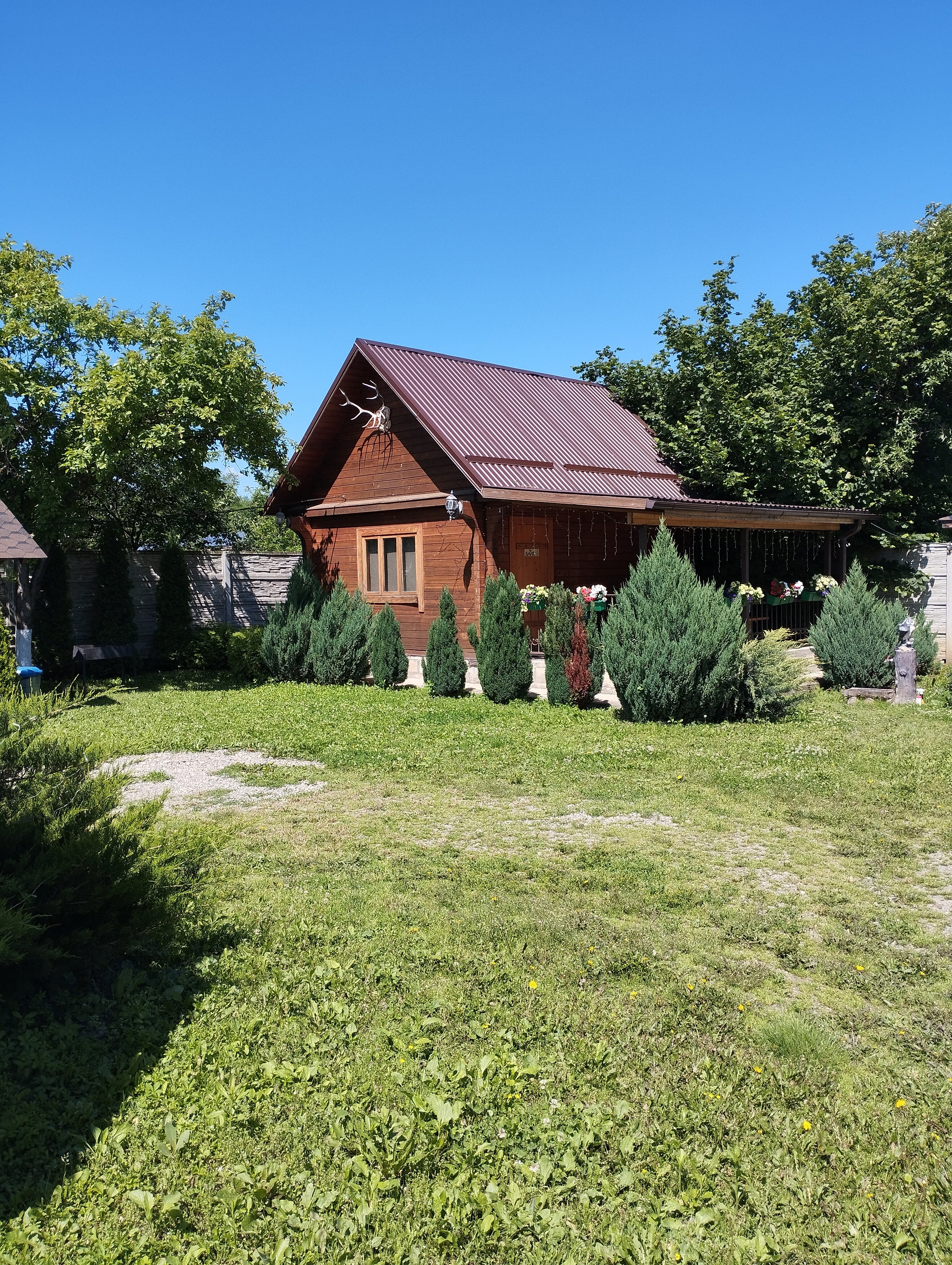 Фото Два брата