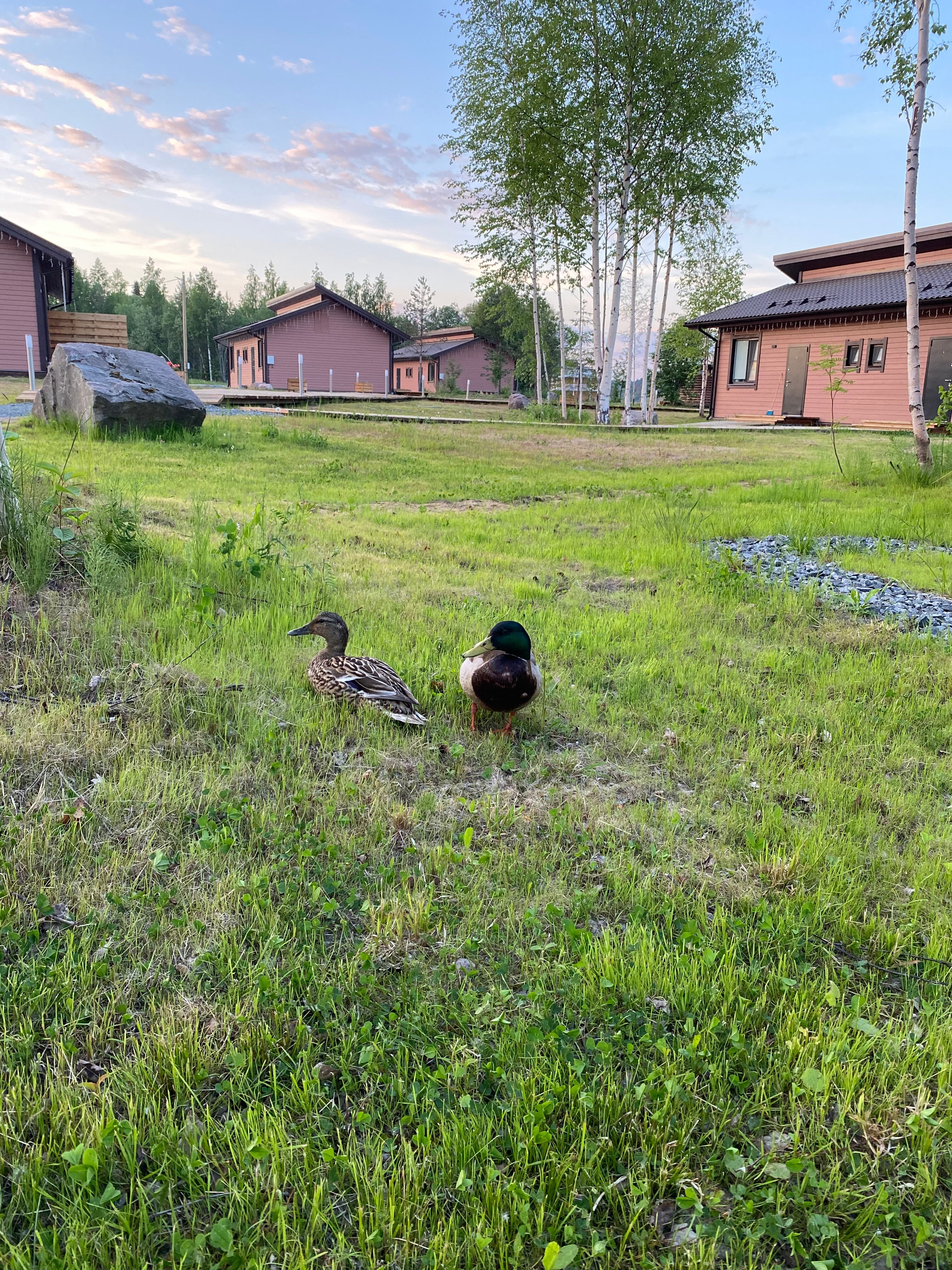 Фото Ворссунсалми