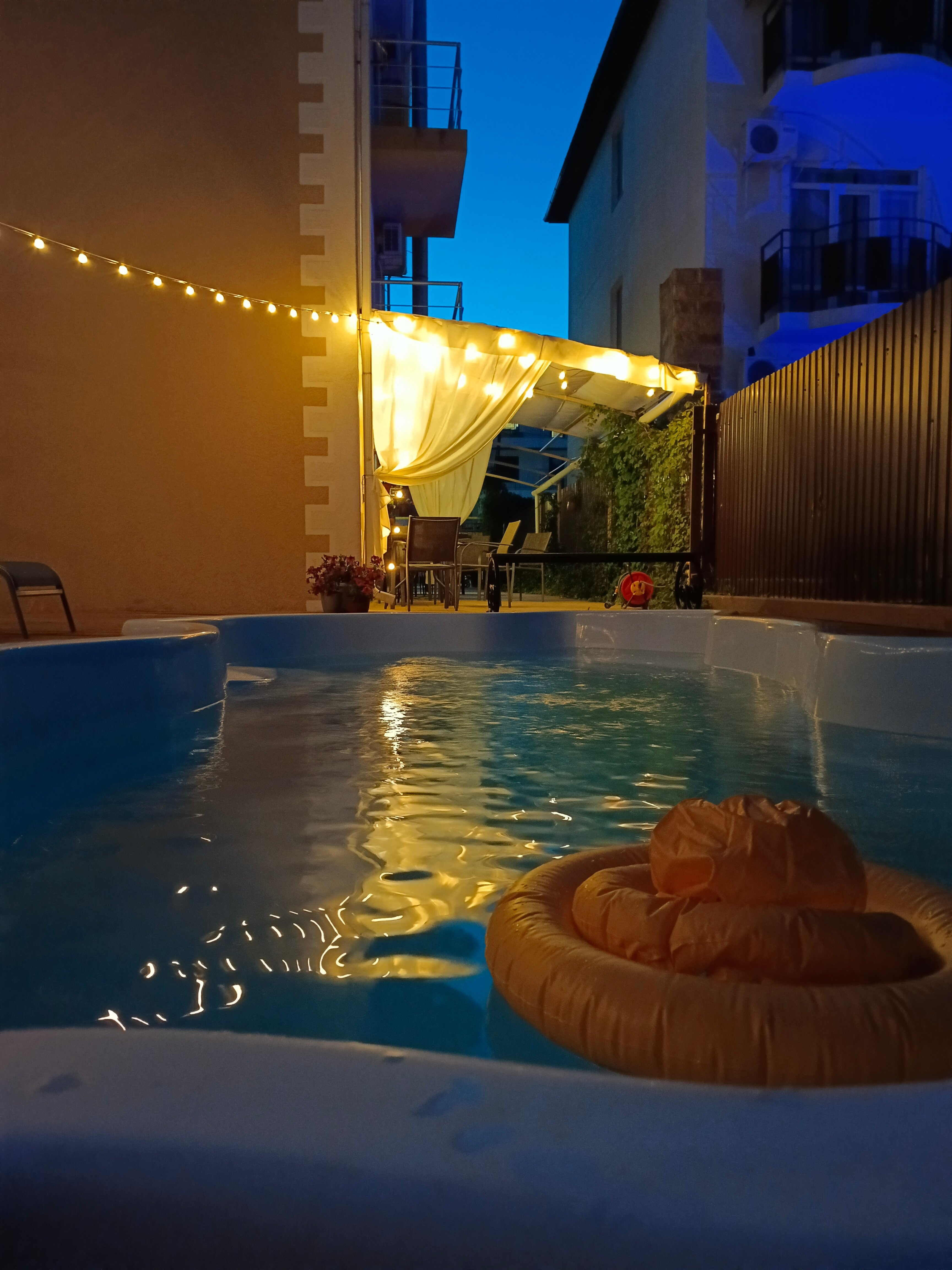 Фото Солнечная орхидея