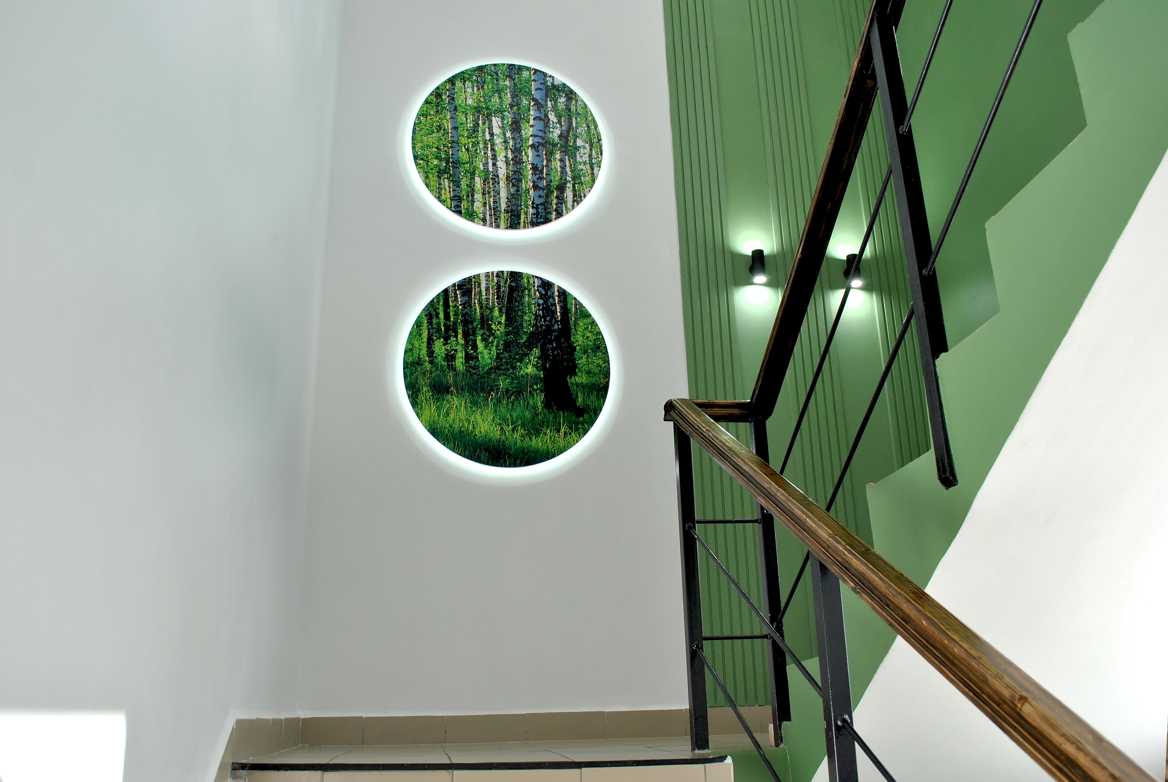 Фото Две берёзки