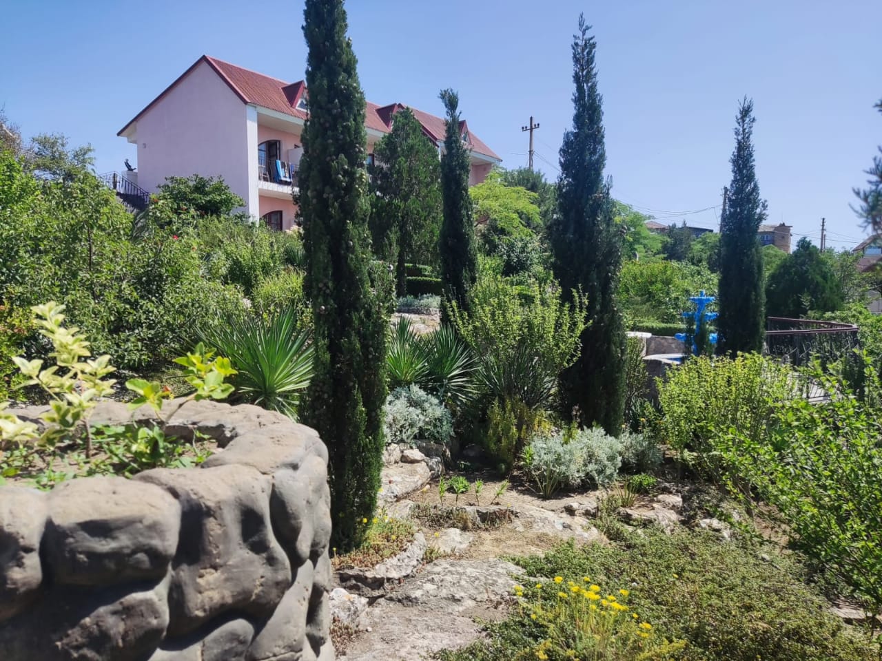 Фото Регата