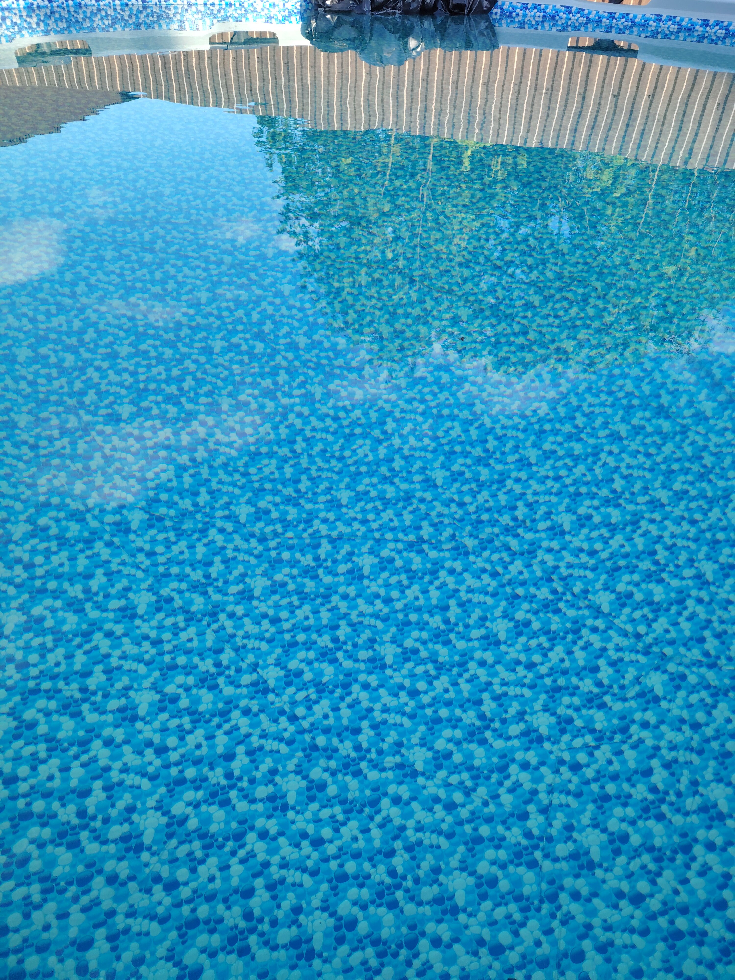 Фото Щеголиха