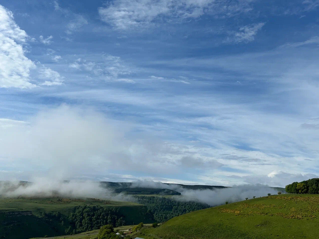 Фото Медовые Холмы