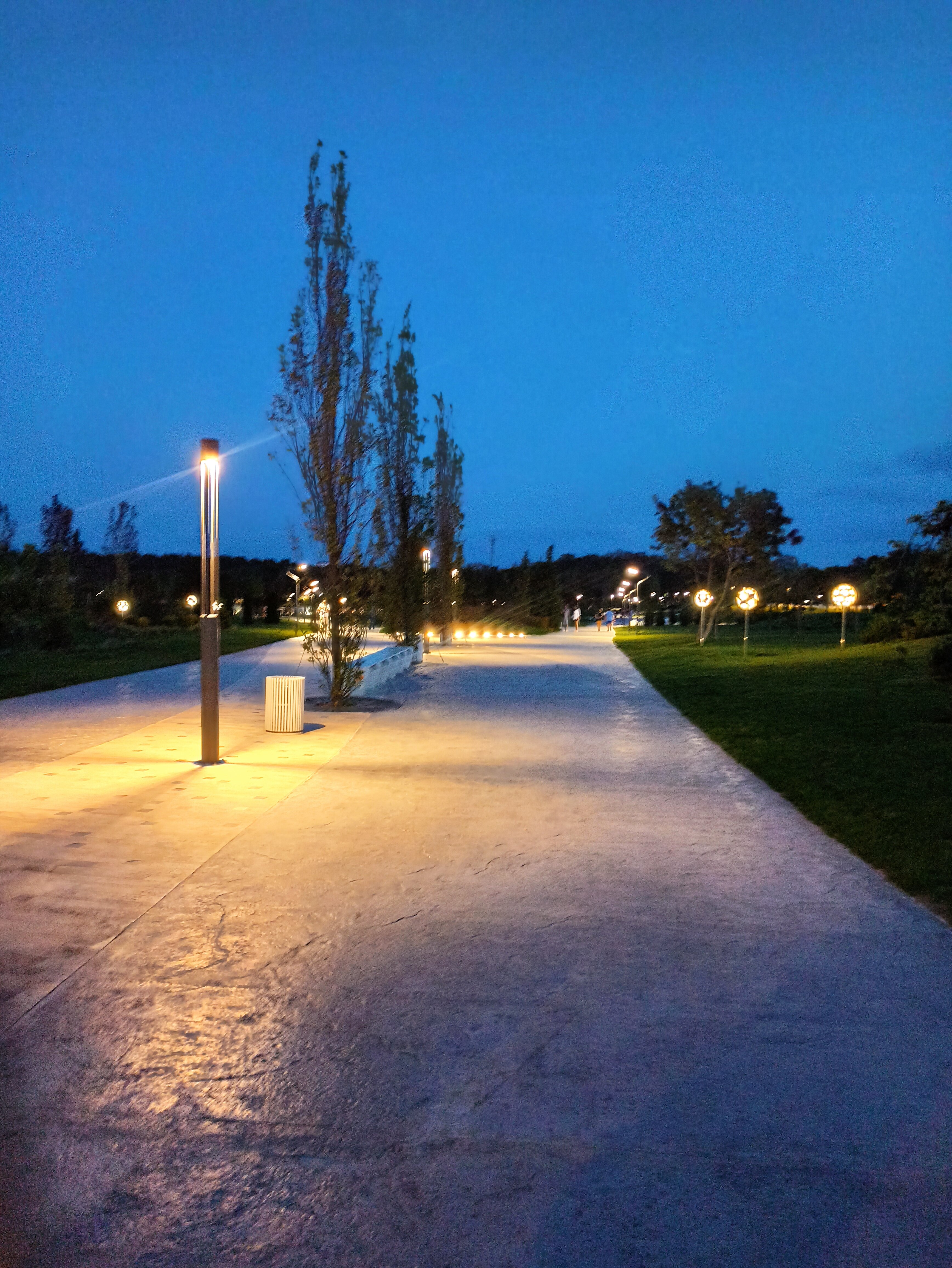 Фото Альянс