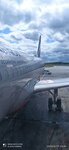 Аэрофлот Российские Авиалинии (posyolok Novoroshchino, Sergeya Ilyushina Street, 10к4), airline