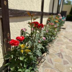 Фото Семейный