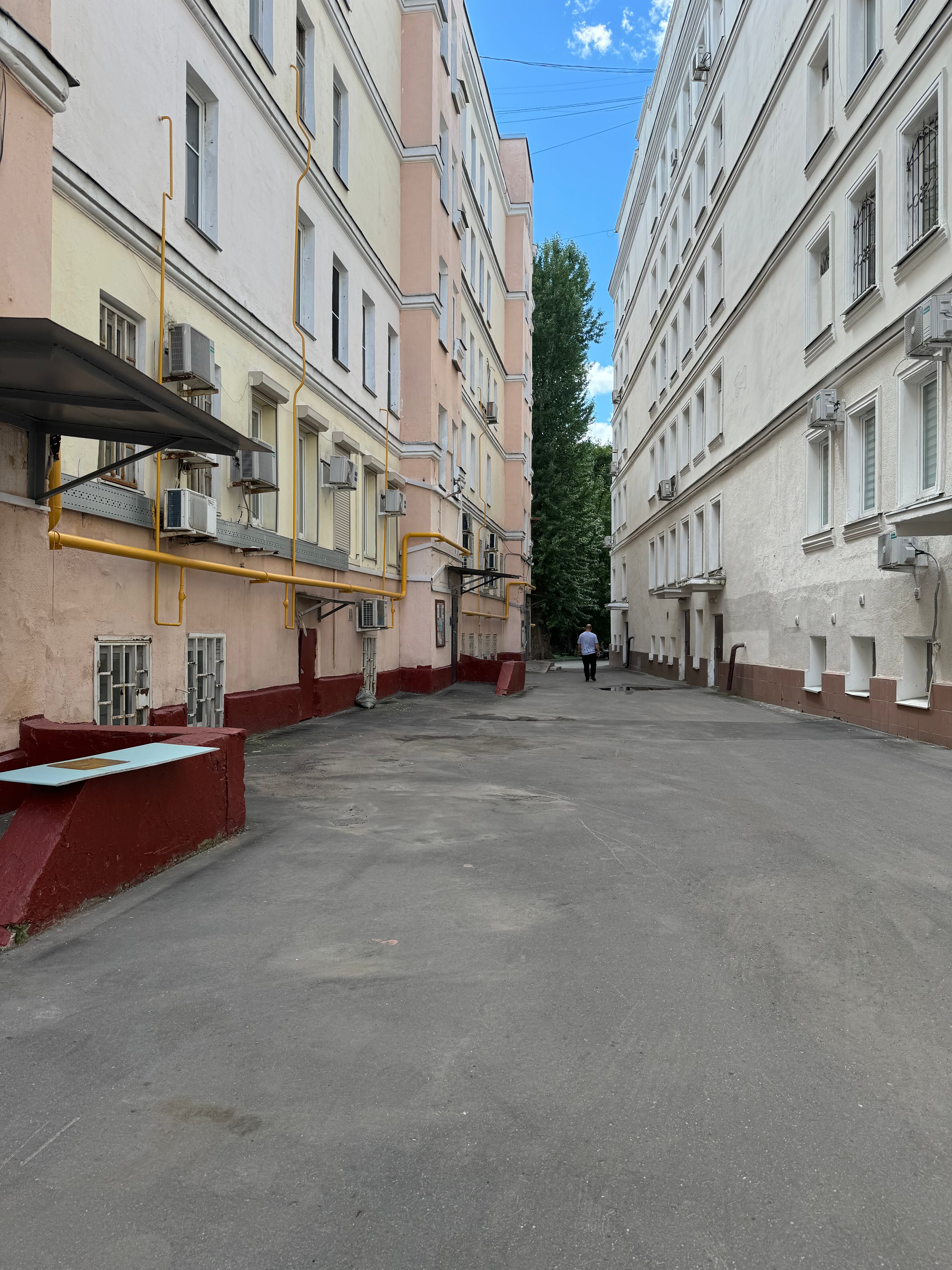 Фото Бегемот