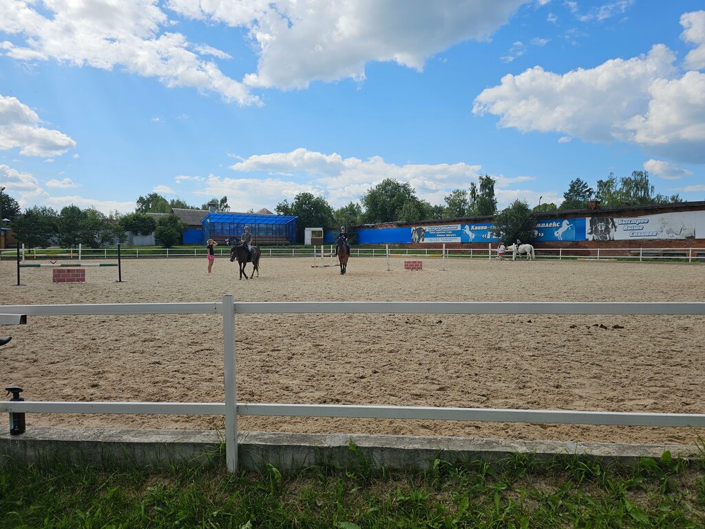 Конный клуб КСК Герцено, Москва и Московская область, фото