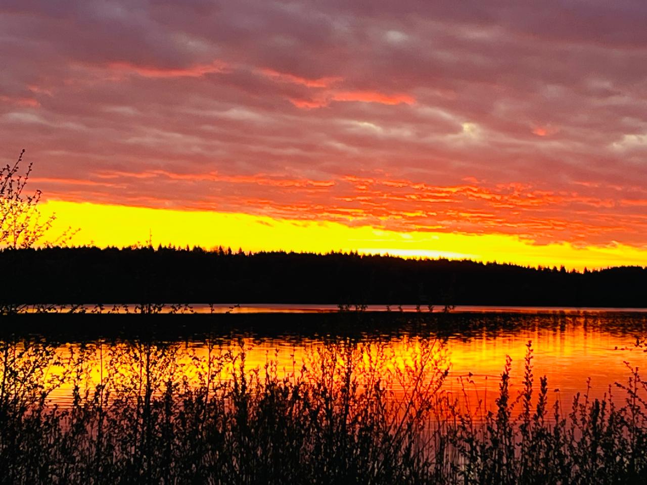 Фото Дивная бухта