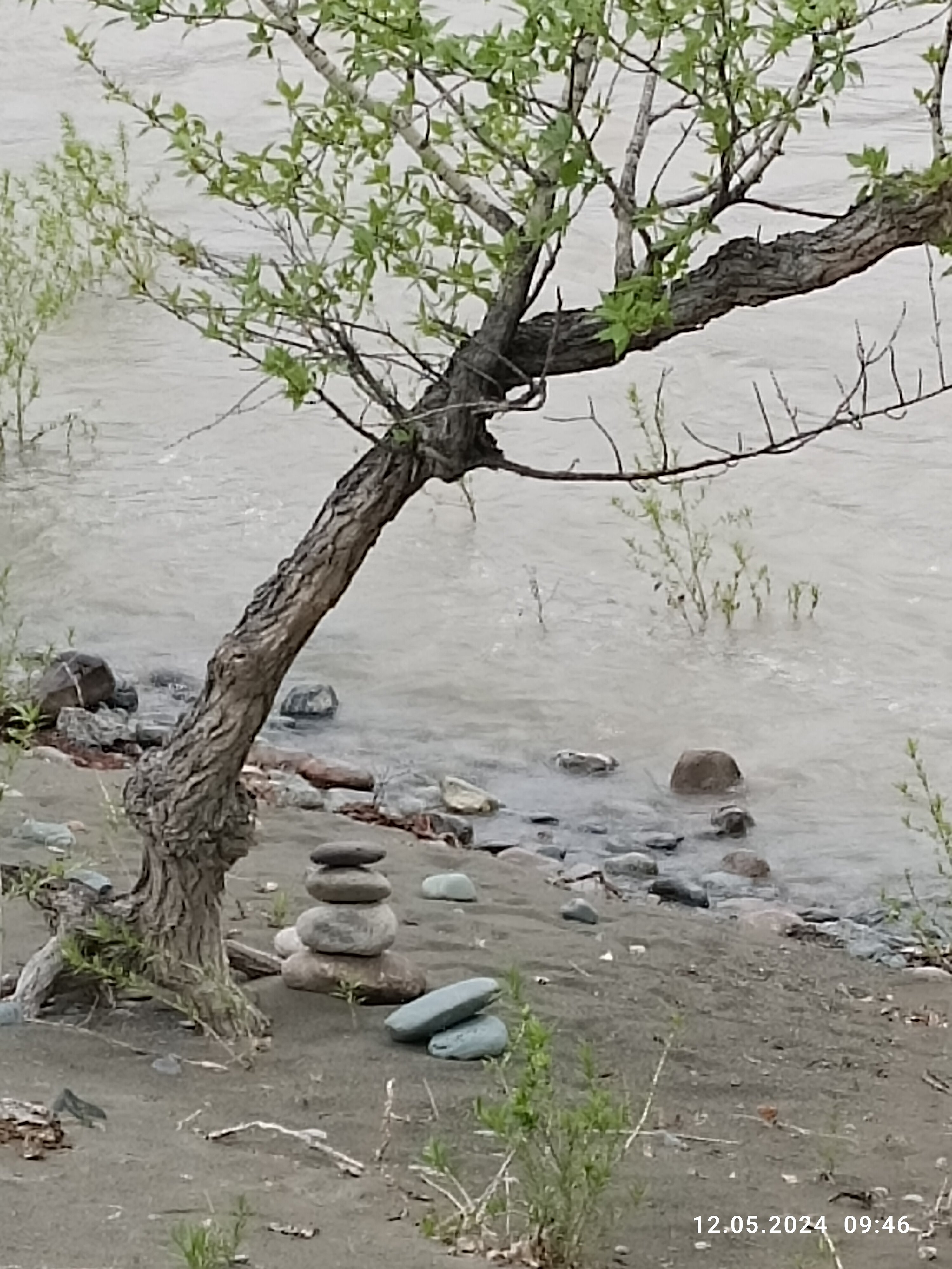 Фото Яломан camp