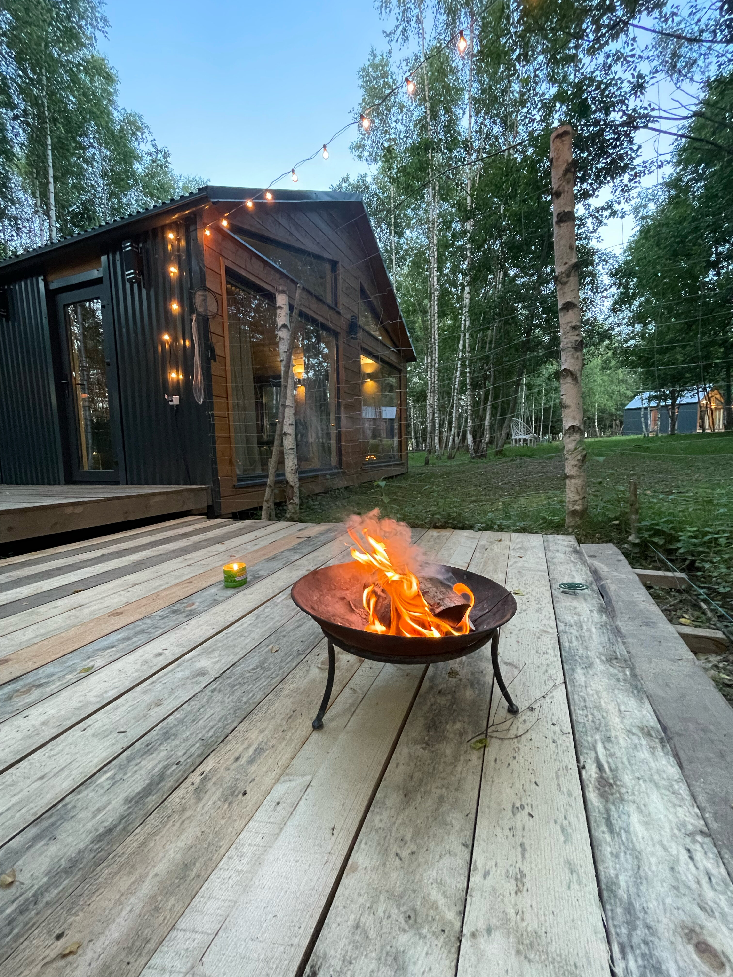 Фото Бэмби Лэнд