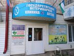 Баймакская городская ветеринарная лечебница (просп. Салавата Юлаева, 33), ветеринарная клиника в Баймаке