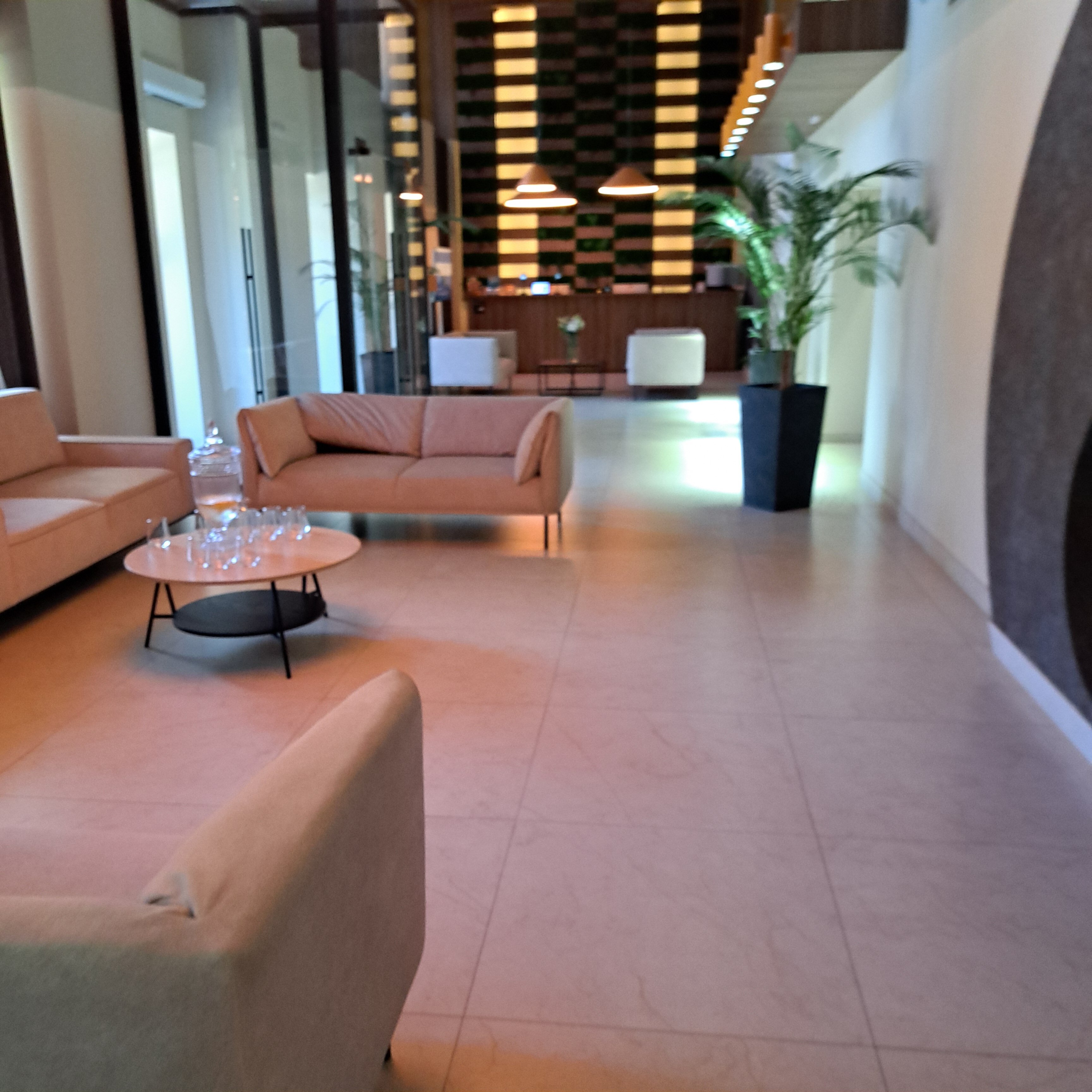 Фото Наша Хвоя