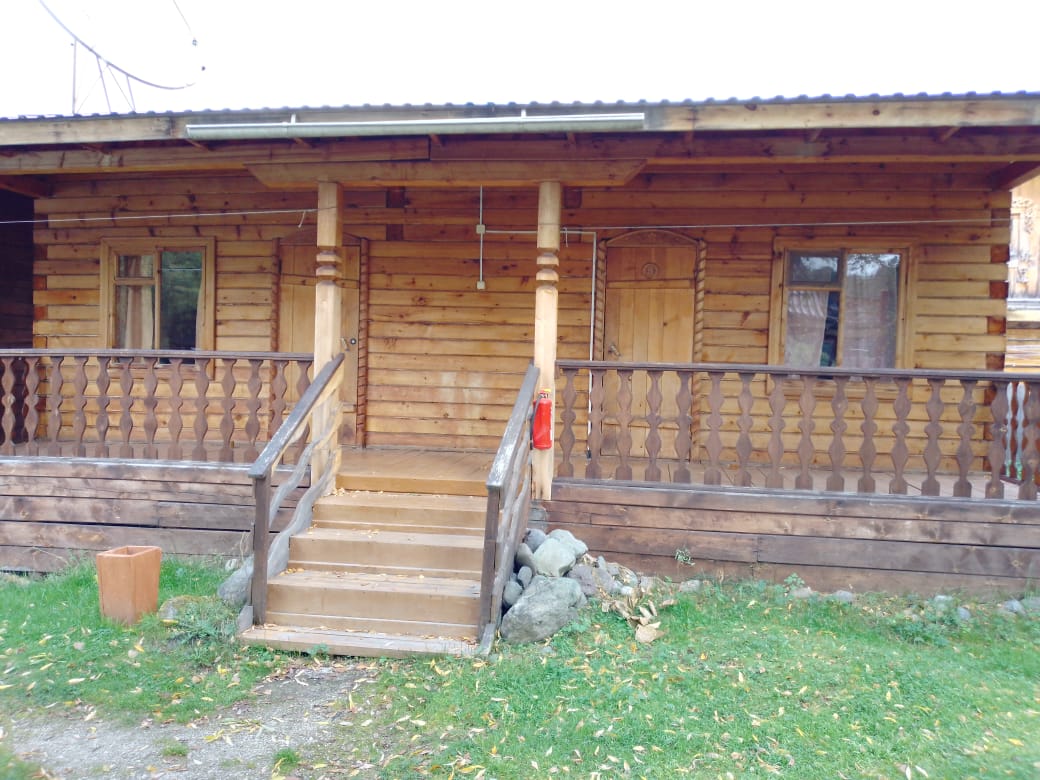 Фото Золотая рыбка