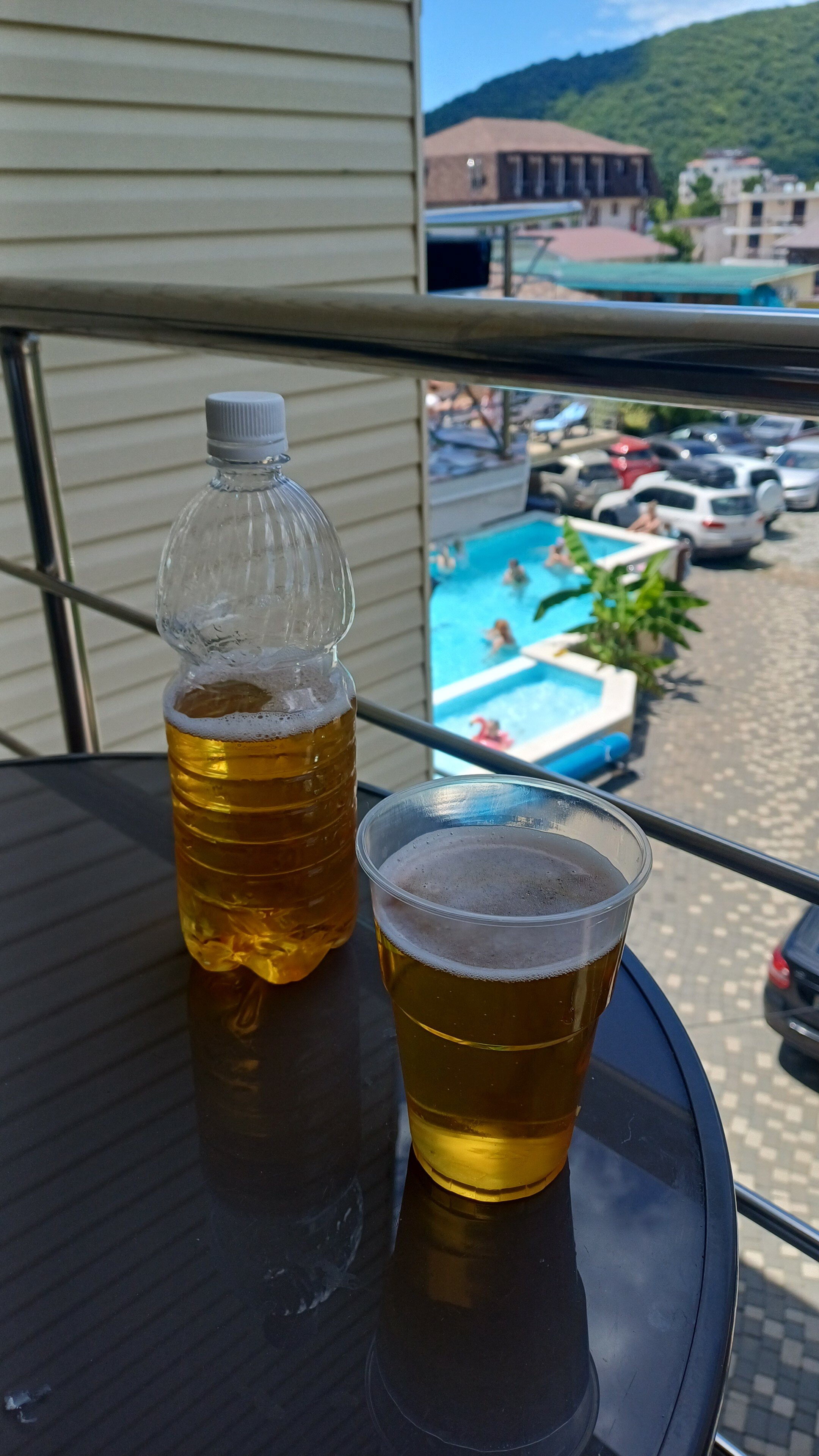 Фото Березы