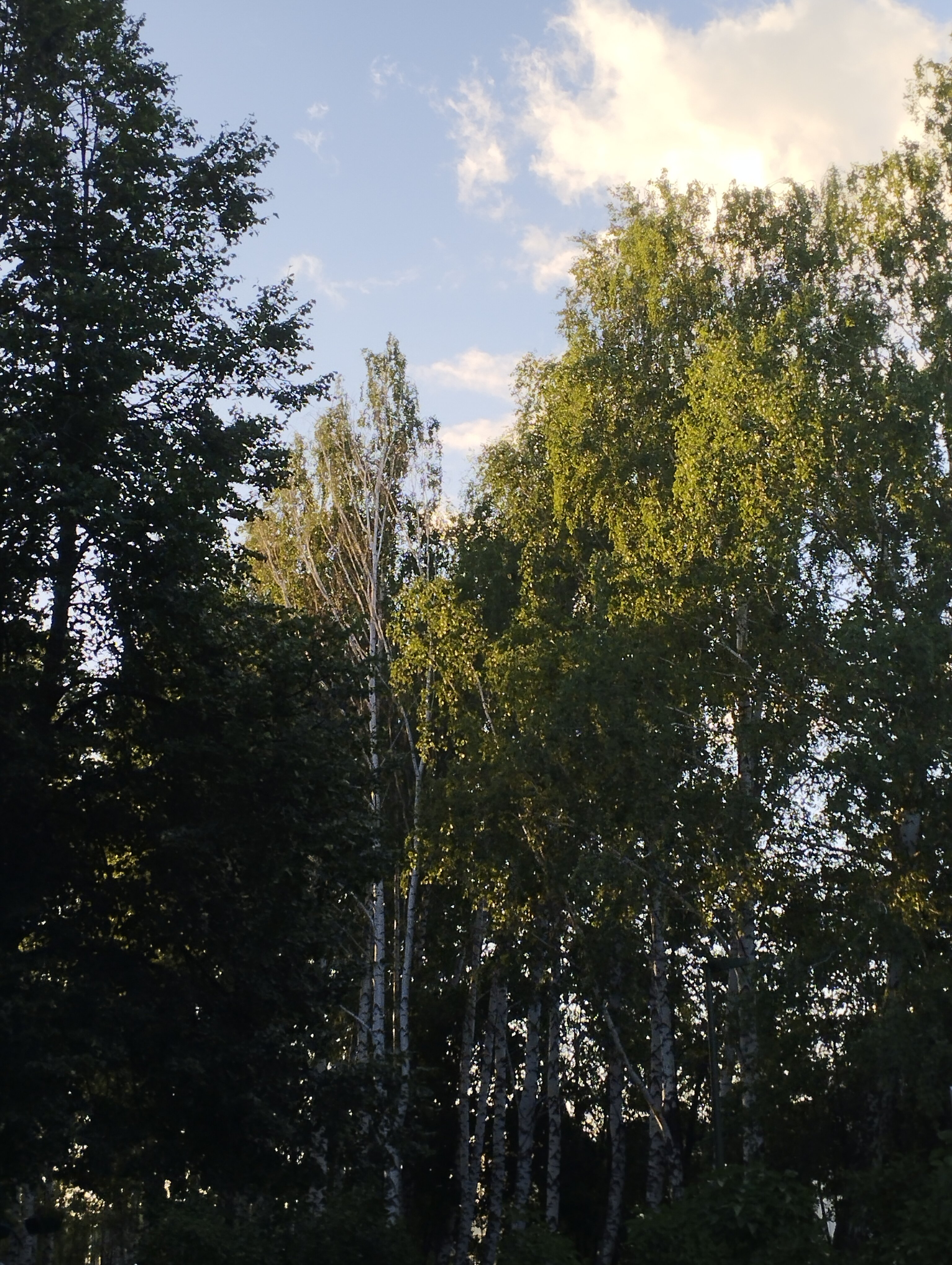 Фото Гостиница Актаныш