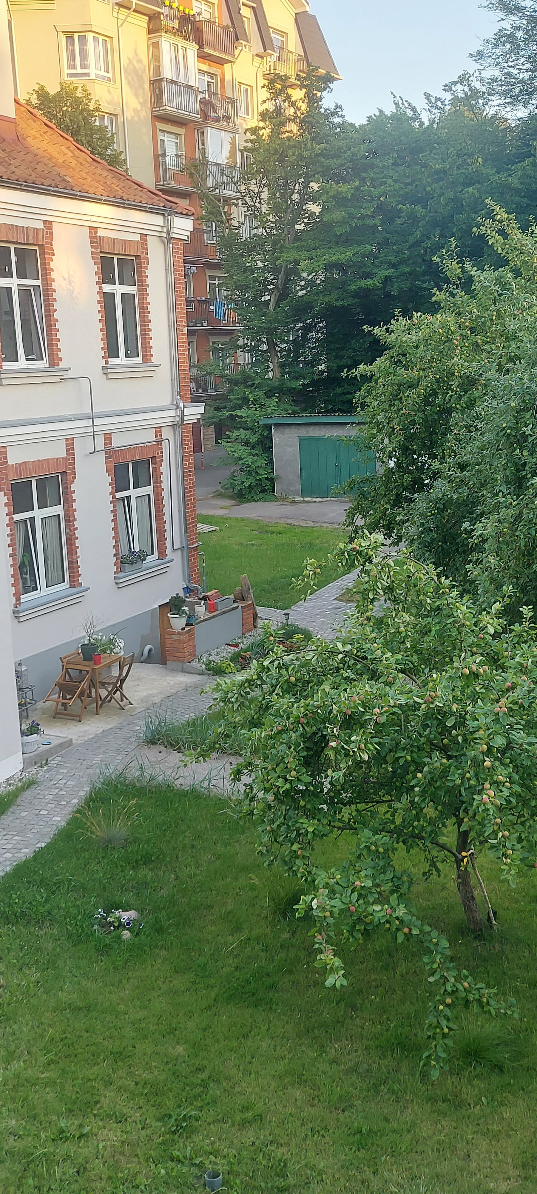 Фото ArtistApart Van Gogh