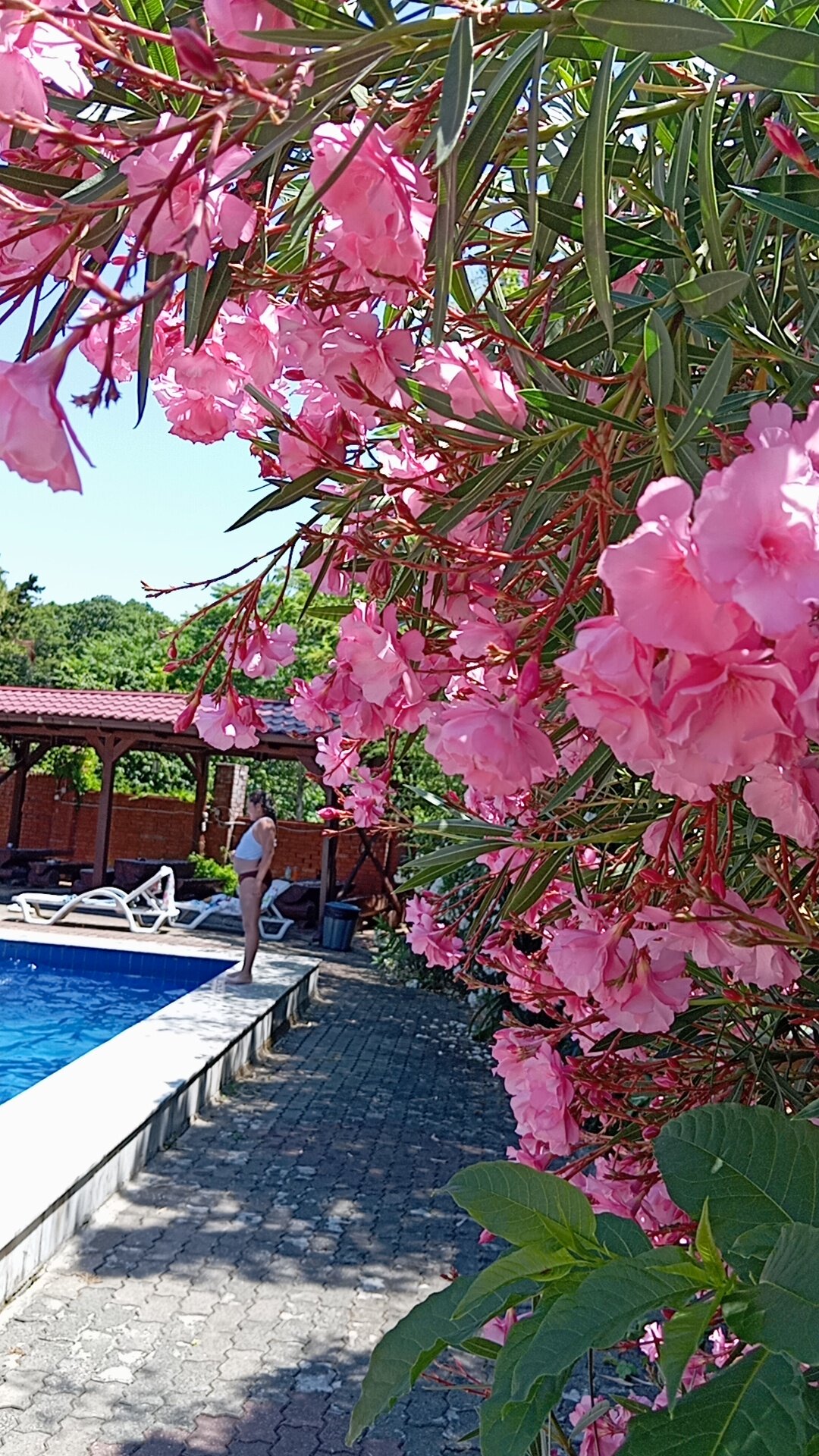 Фото Пенаты