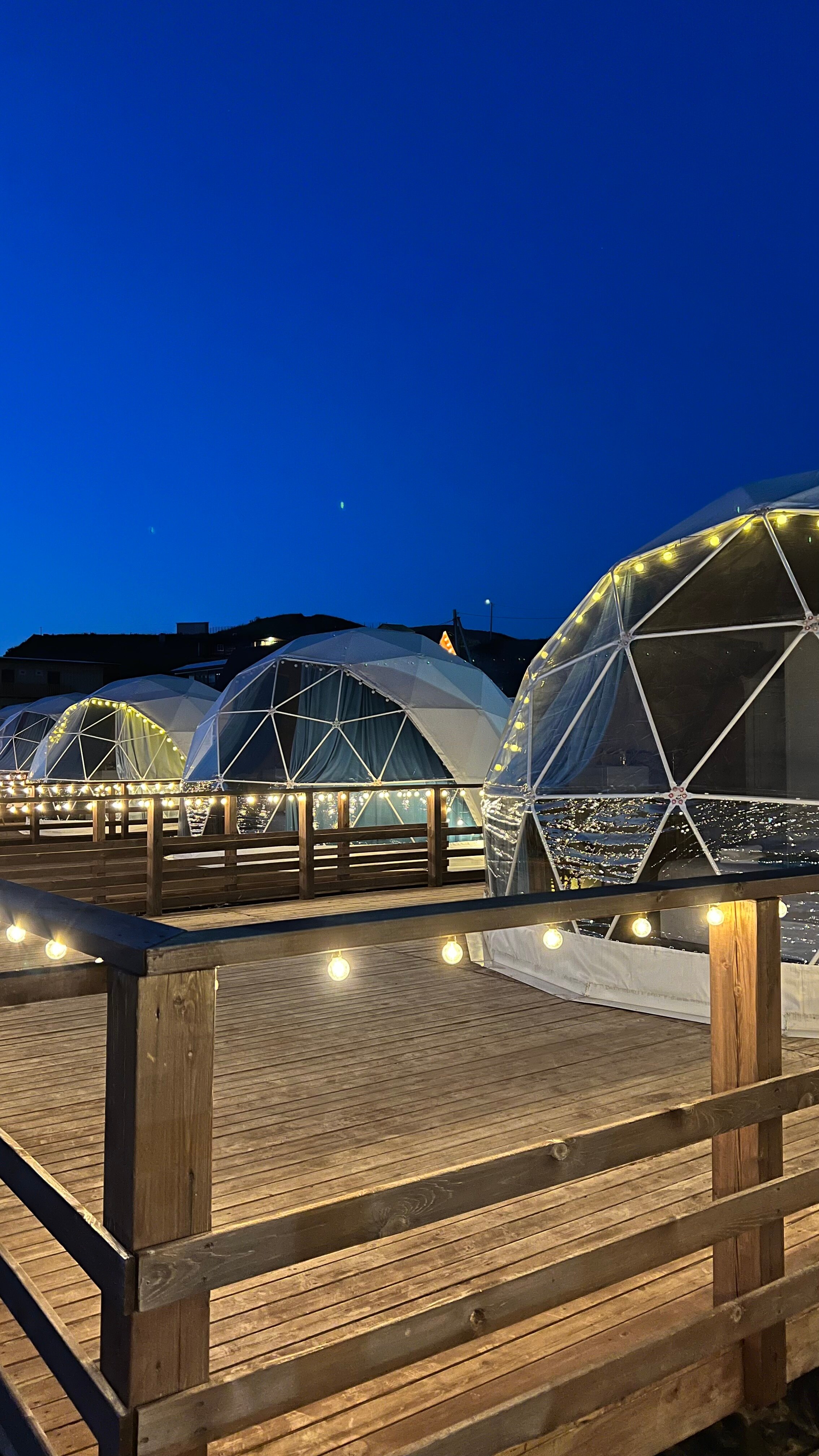 Фото Аквариум