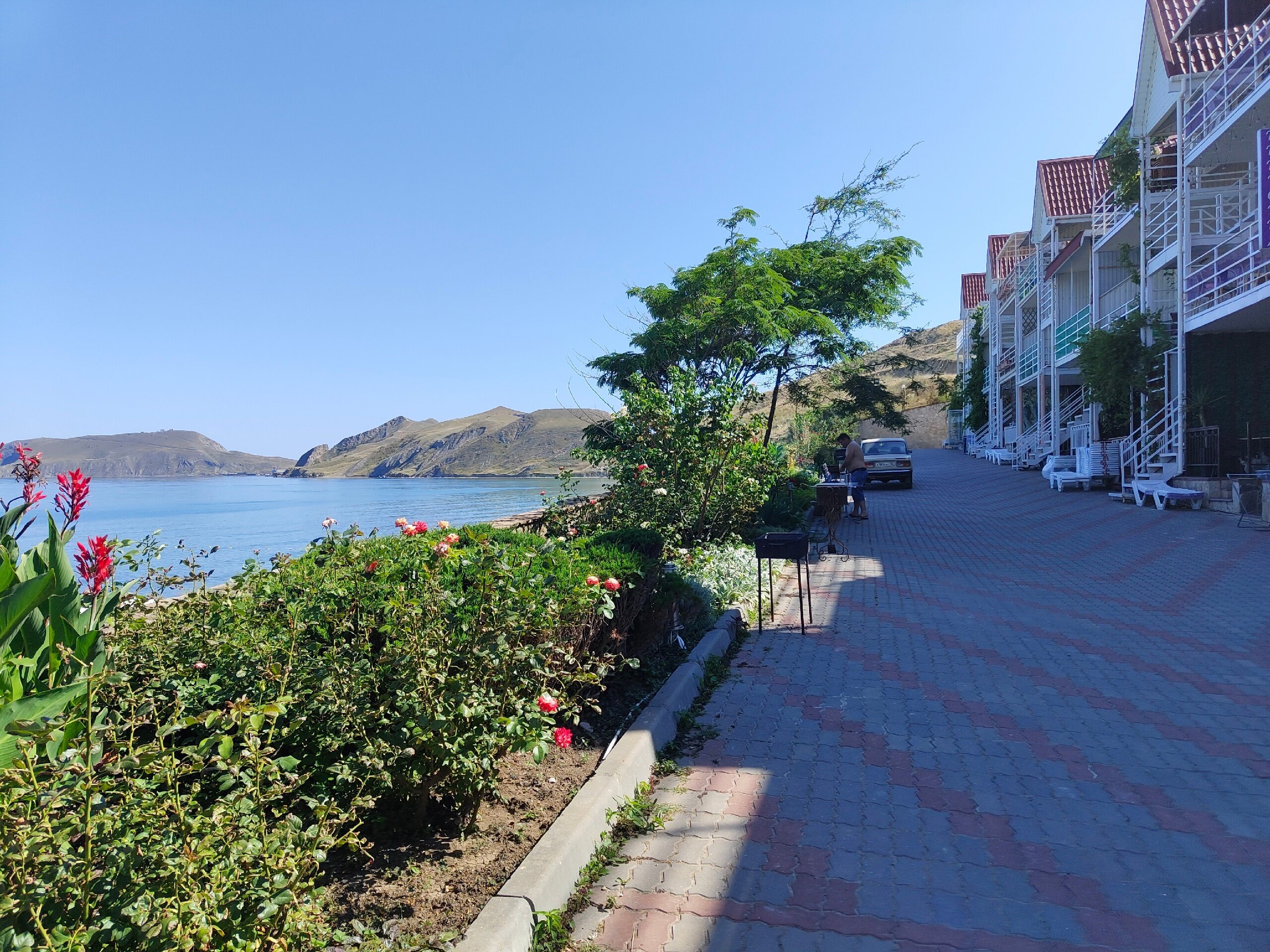 Фото Эллинг у Зои