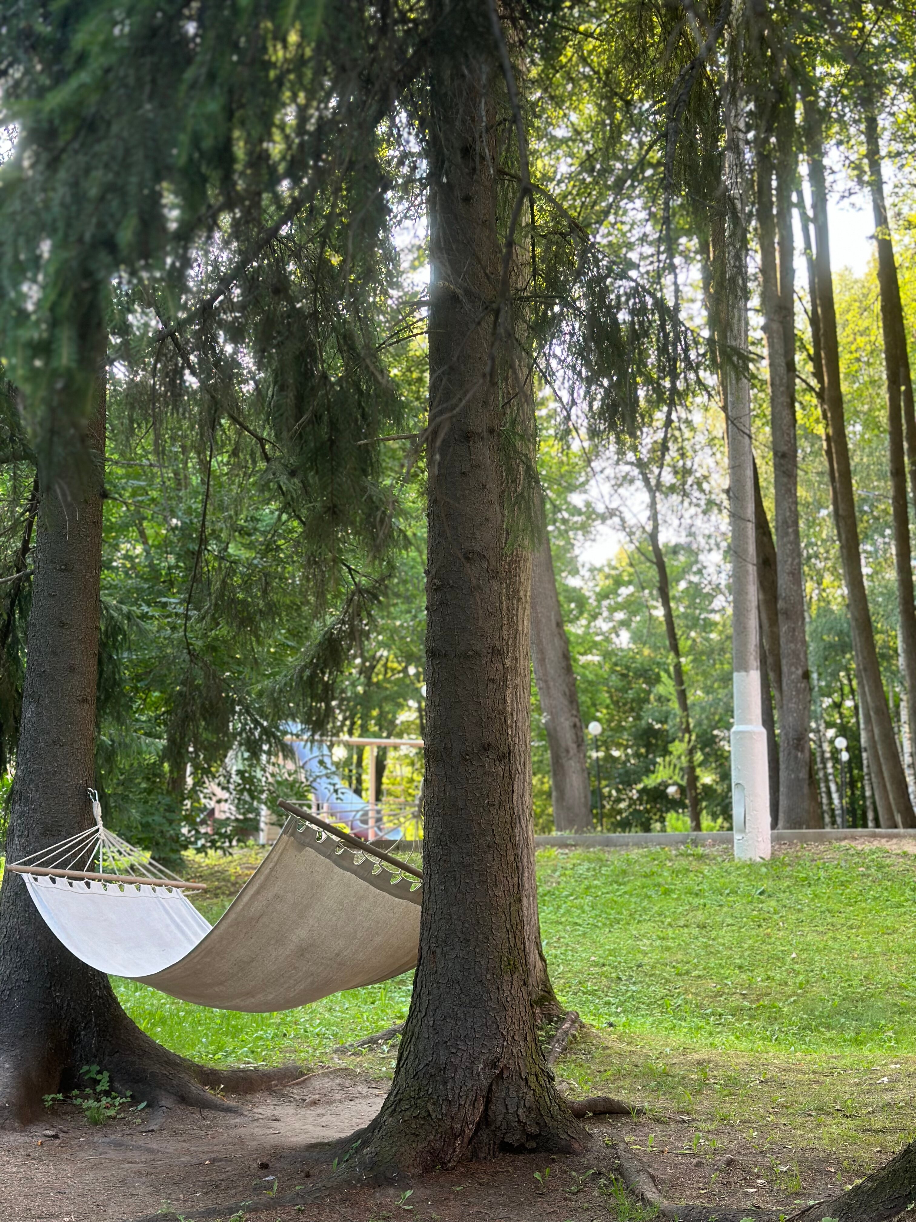 Фото Планерное