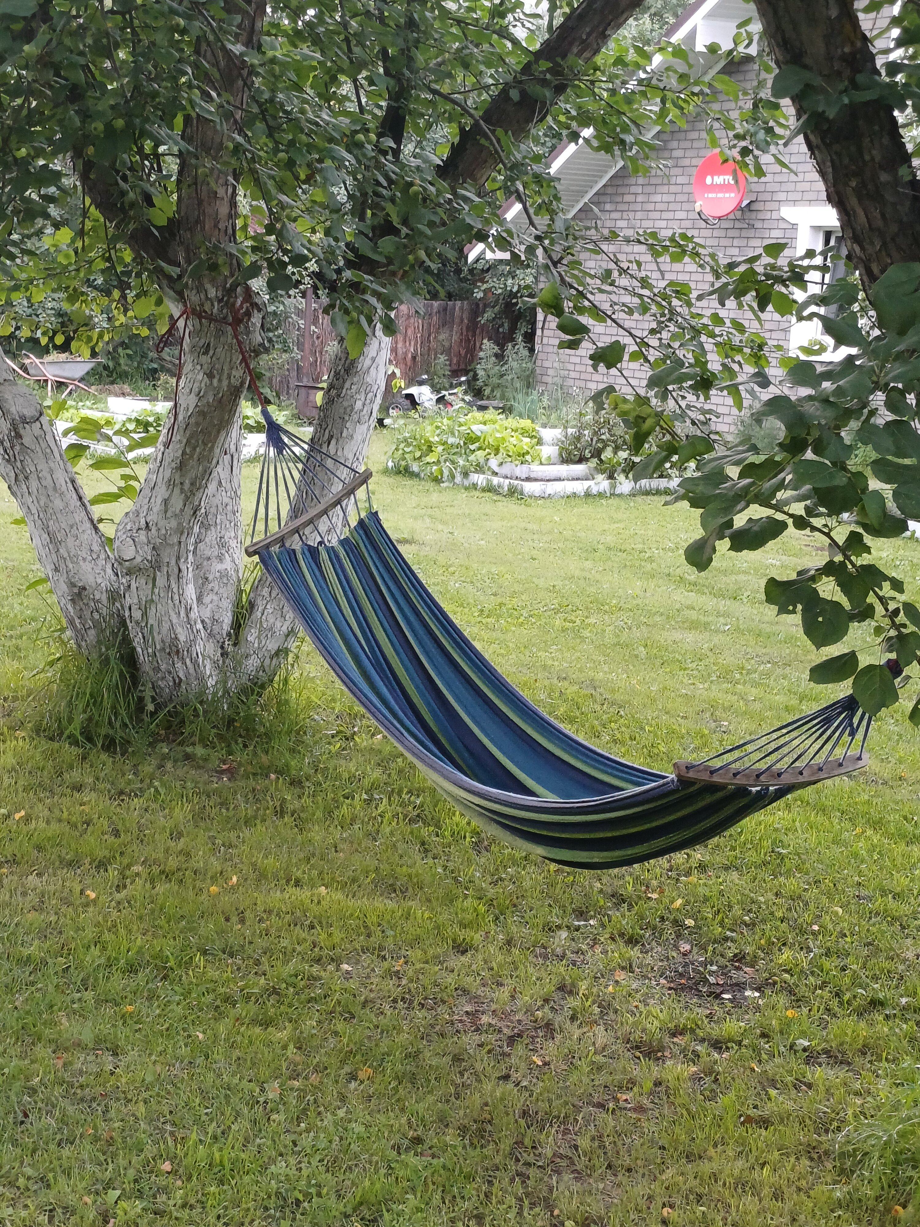 Фото Апартаменты Алама