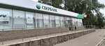 СберСтрахование (ulitsa Stepana Khalturina, 59), insurance company