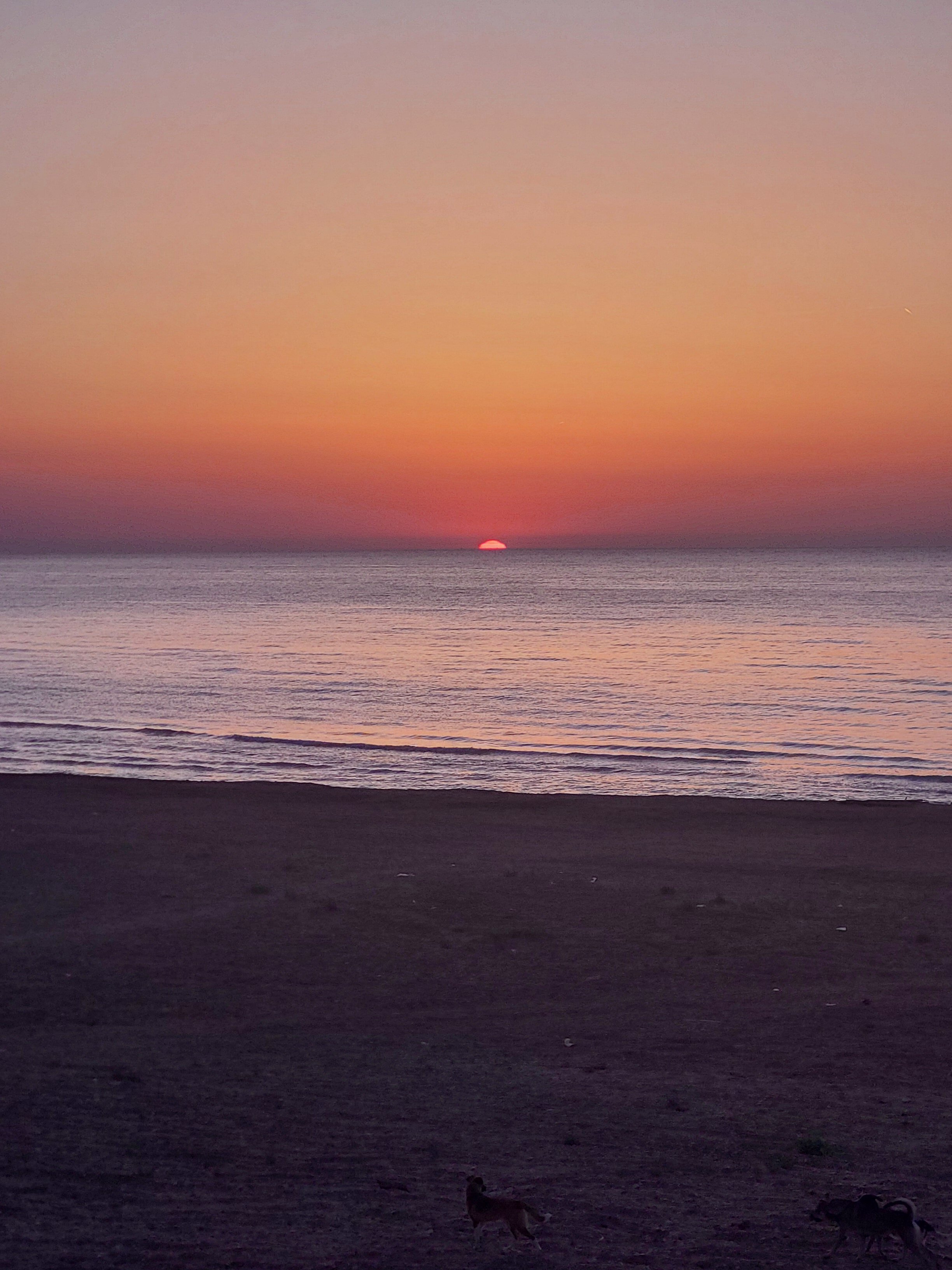 Фото Family Club