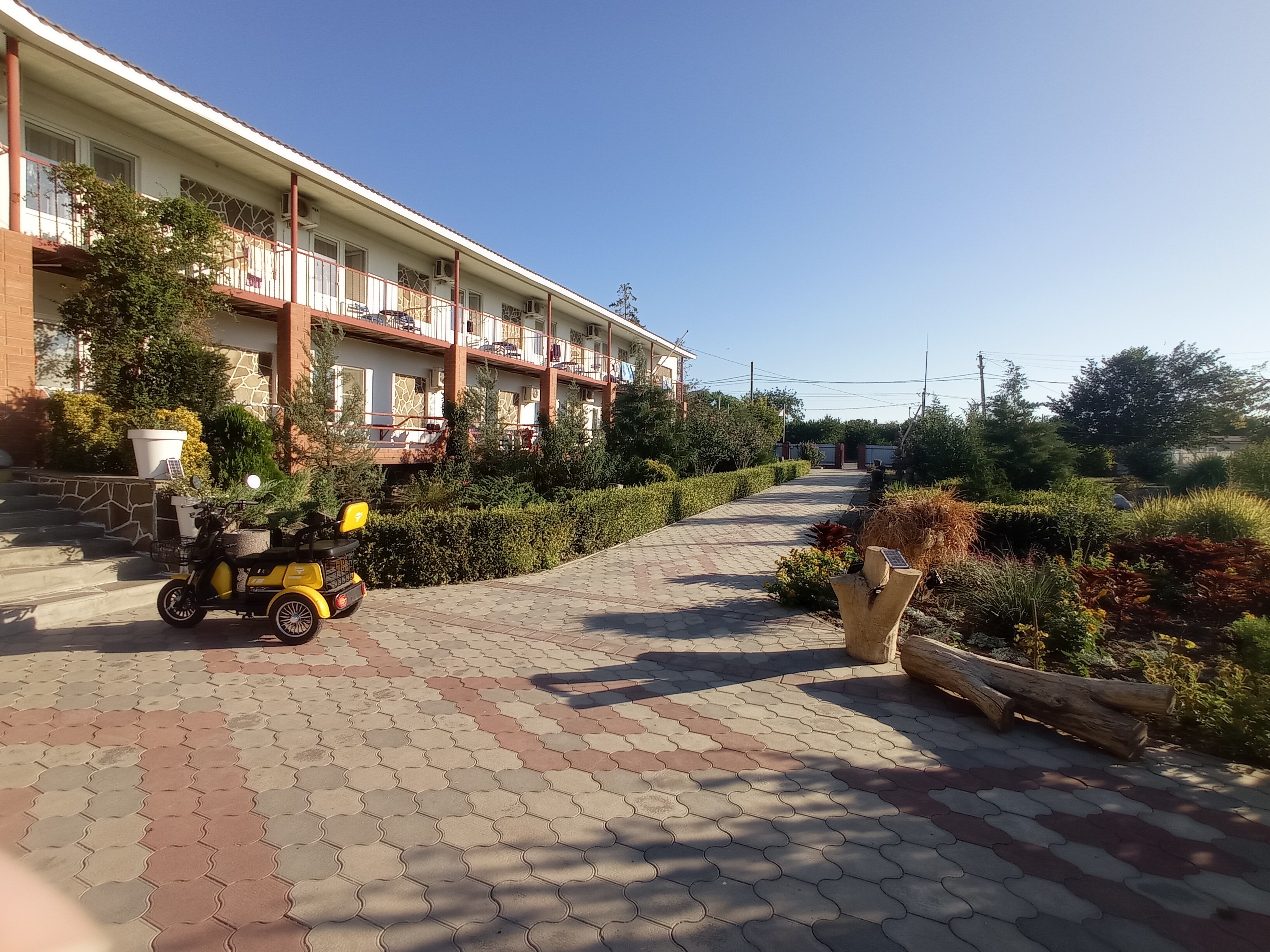 Фото Альбатрос