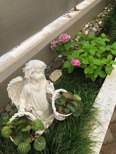 Внешний вид отеля Маретель в Сочах, фото 5