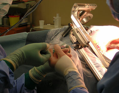 Diagnostic center Panoson Imaging and Diagnostic Center, Istanbul, photo