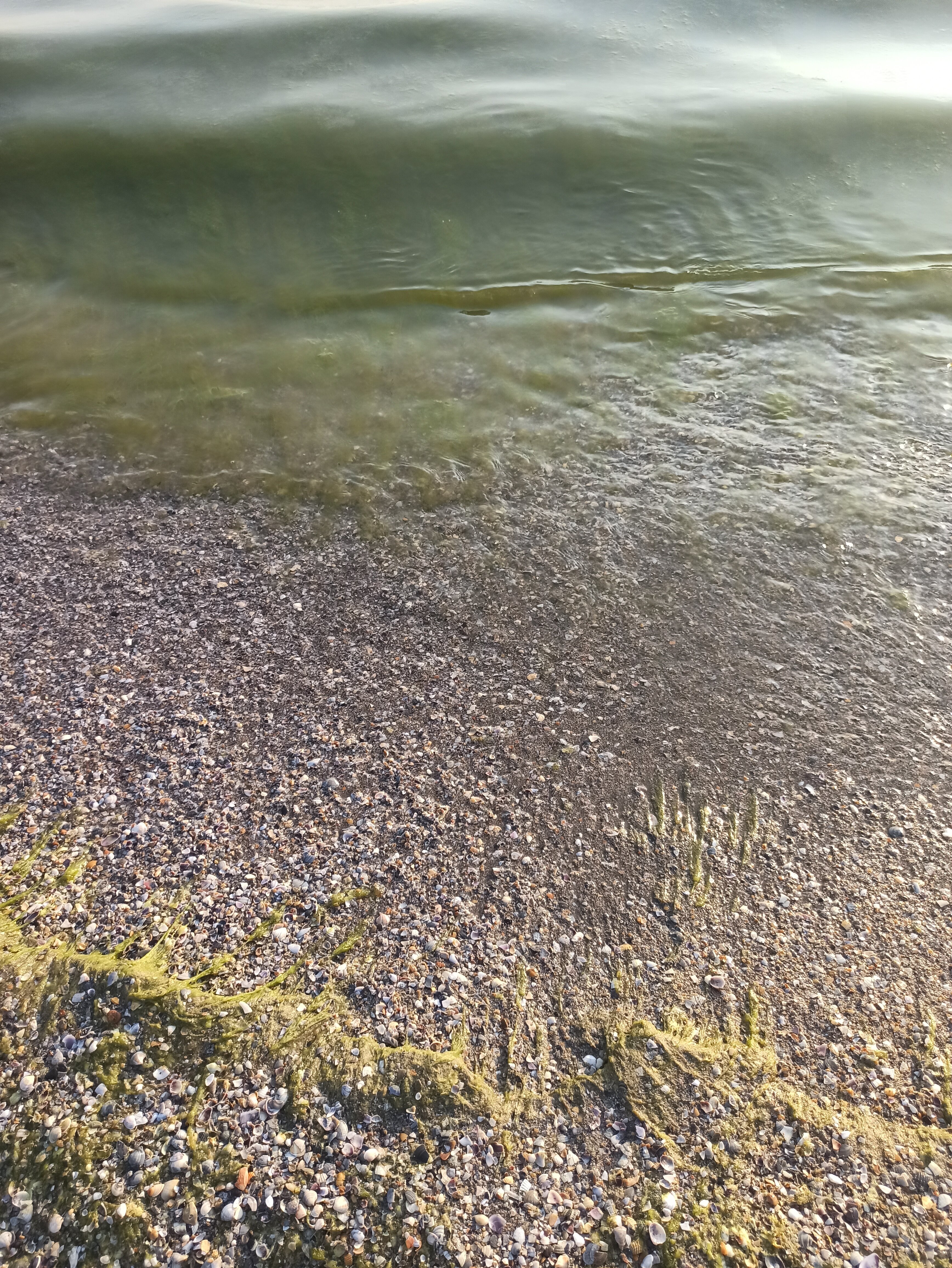 Фото Авдалия