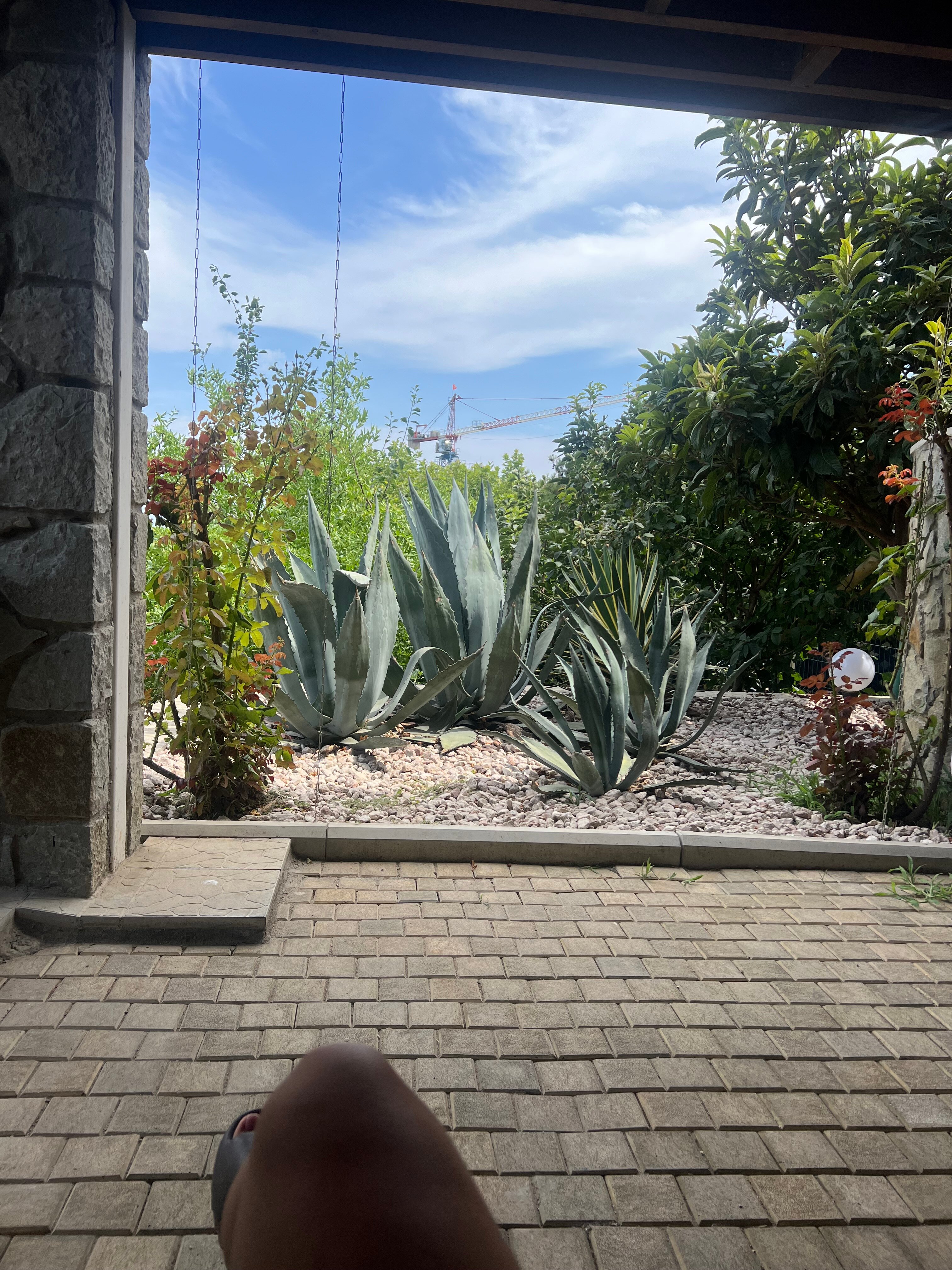 Фото Роза ветров