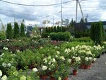 Ваша Усадьба Афонино (Nizhniy Novgorod Region, 22K-0099), centro de jardinería