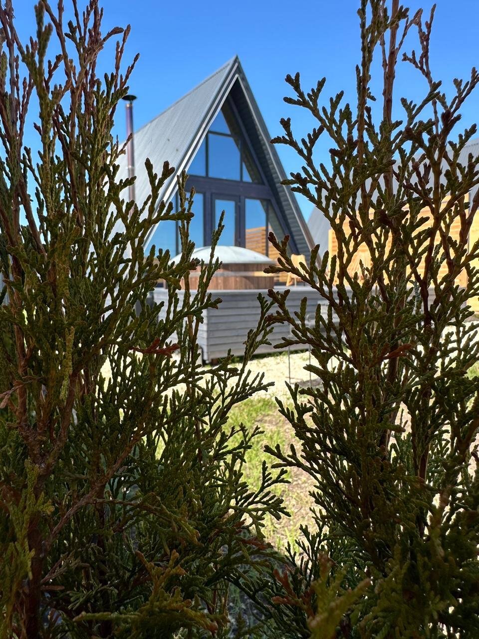 Фото Сафари