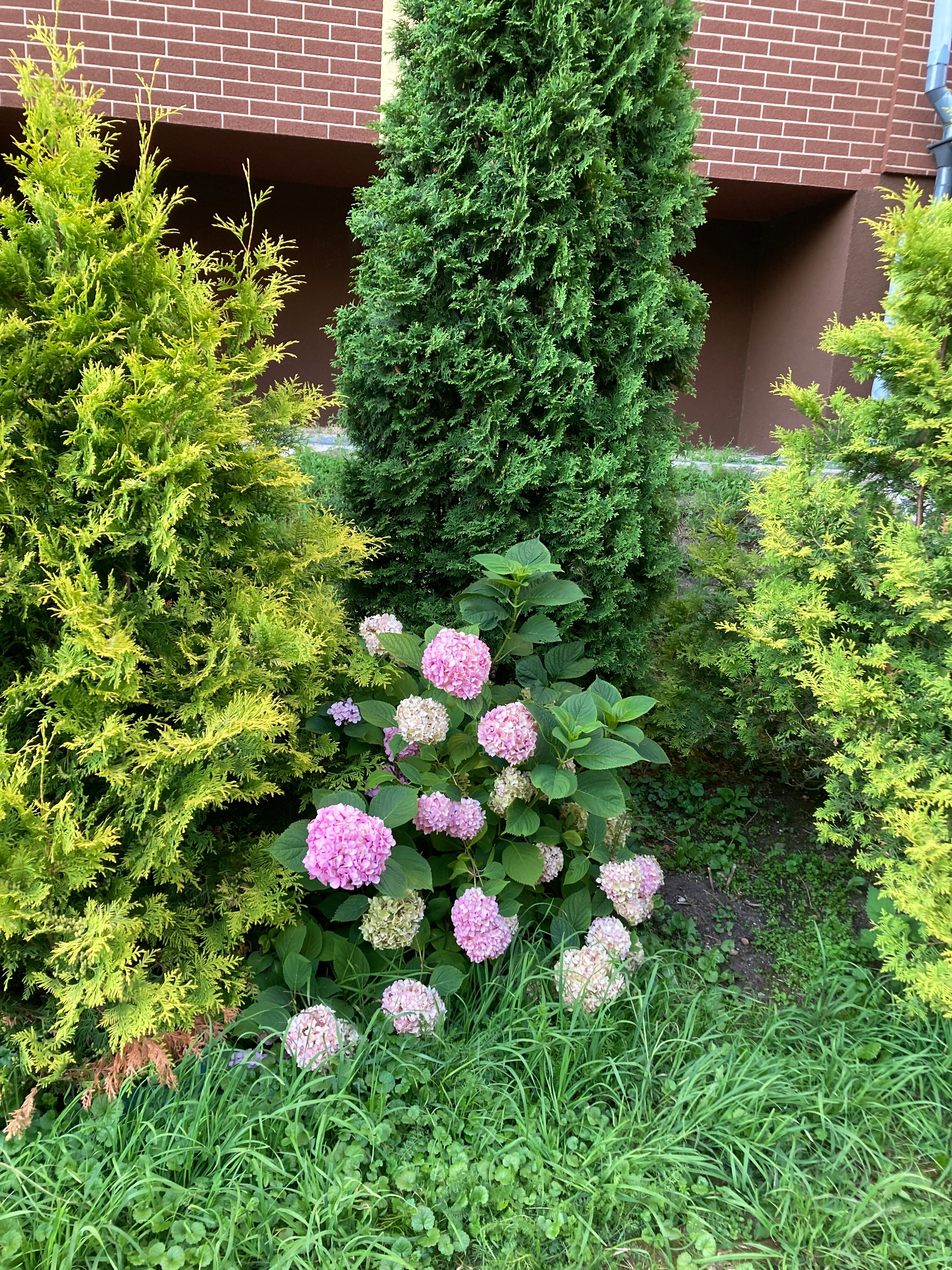 Фото Kranz Rooms