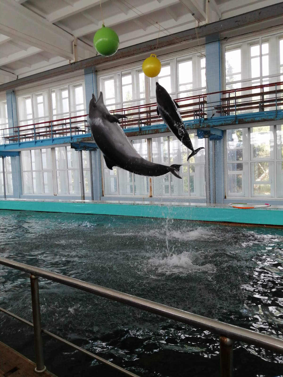 Фото Родина