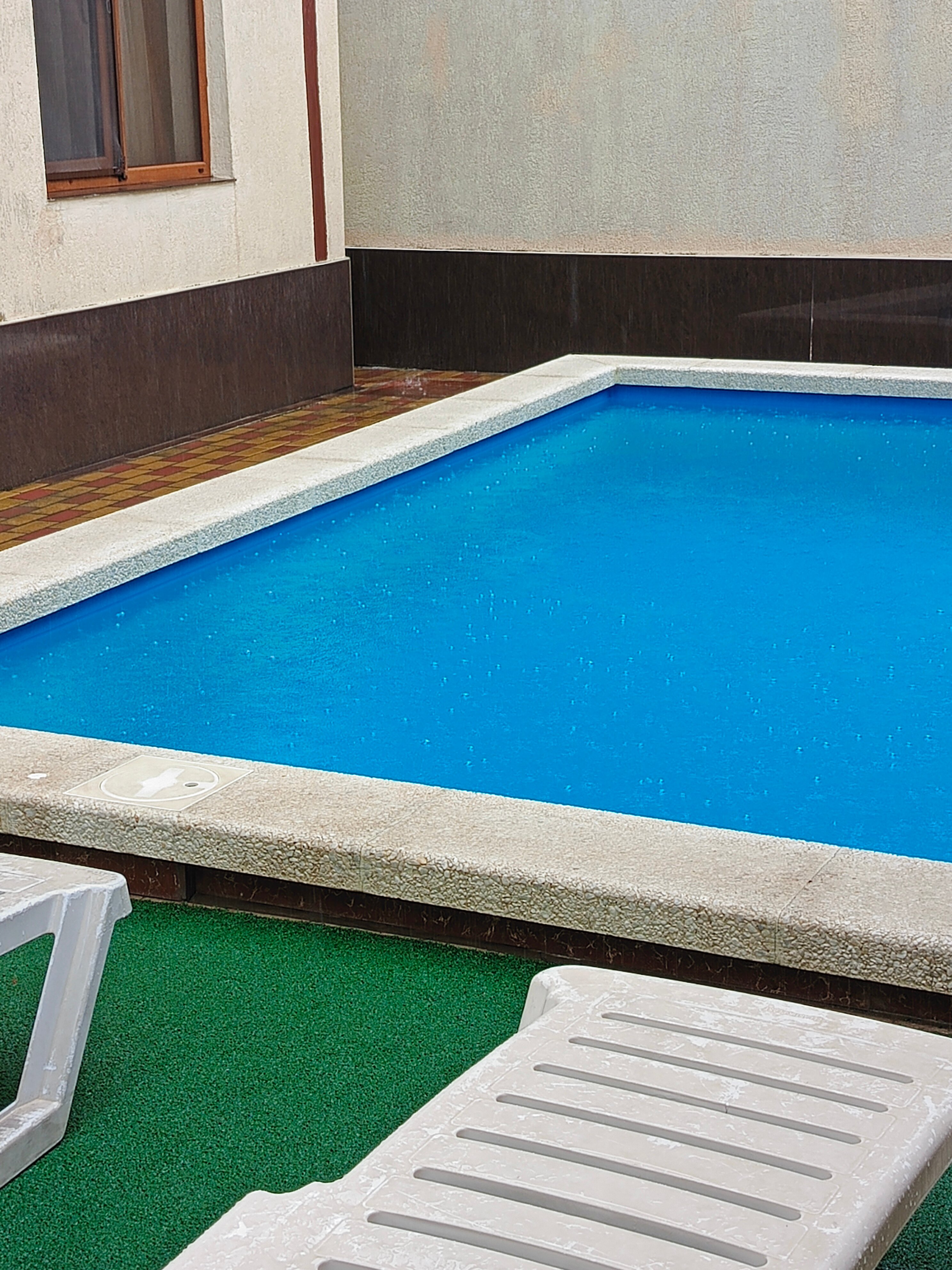 Фото Альянс