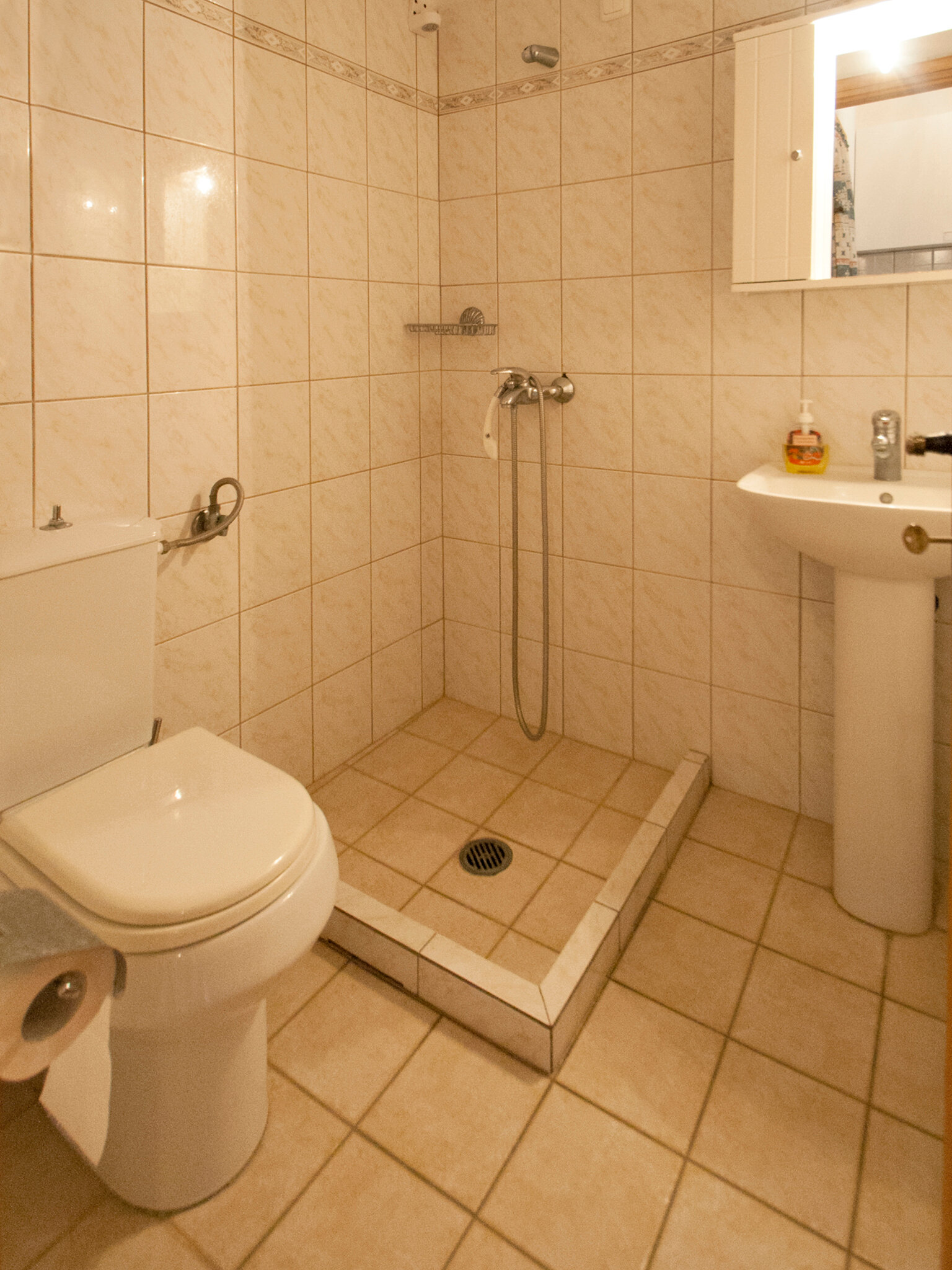 Фото Pension Laura