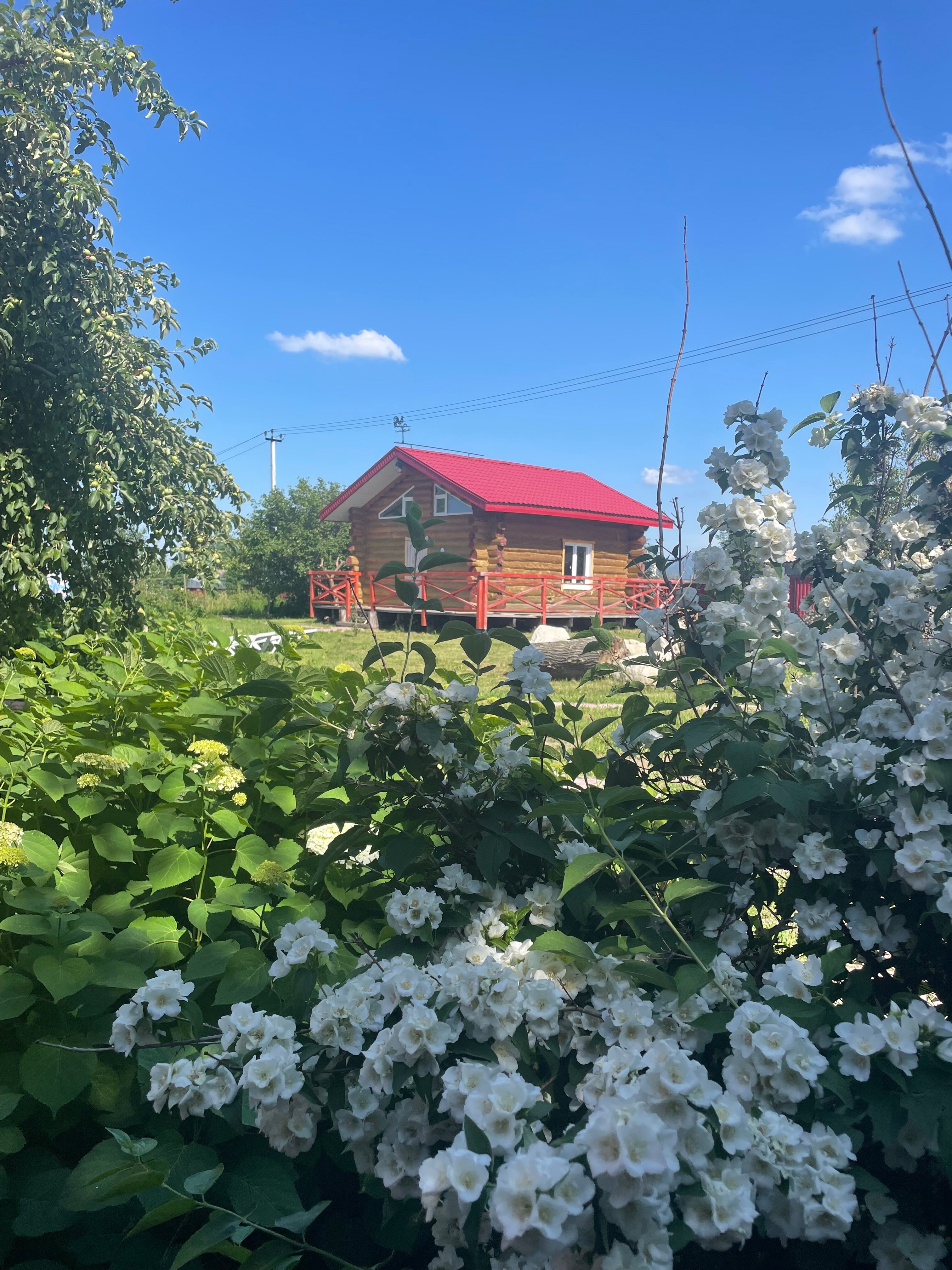 Фото Красный городок
