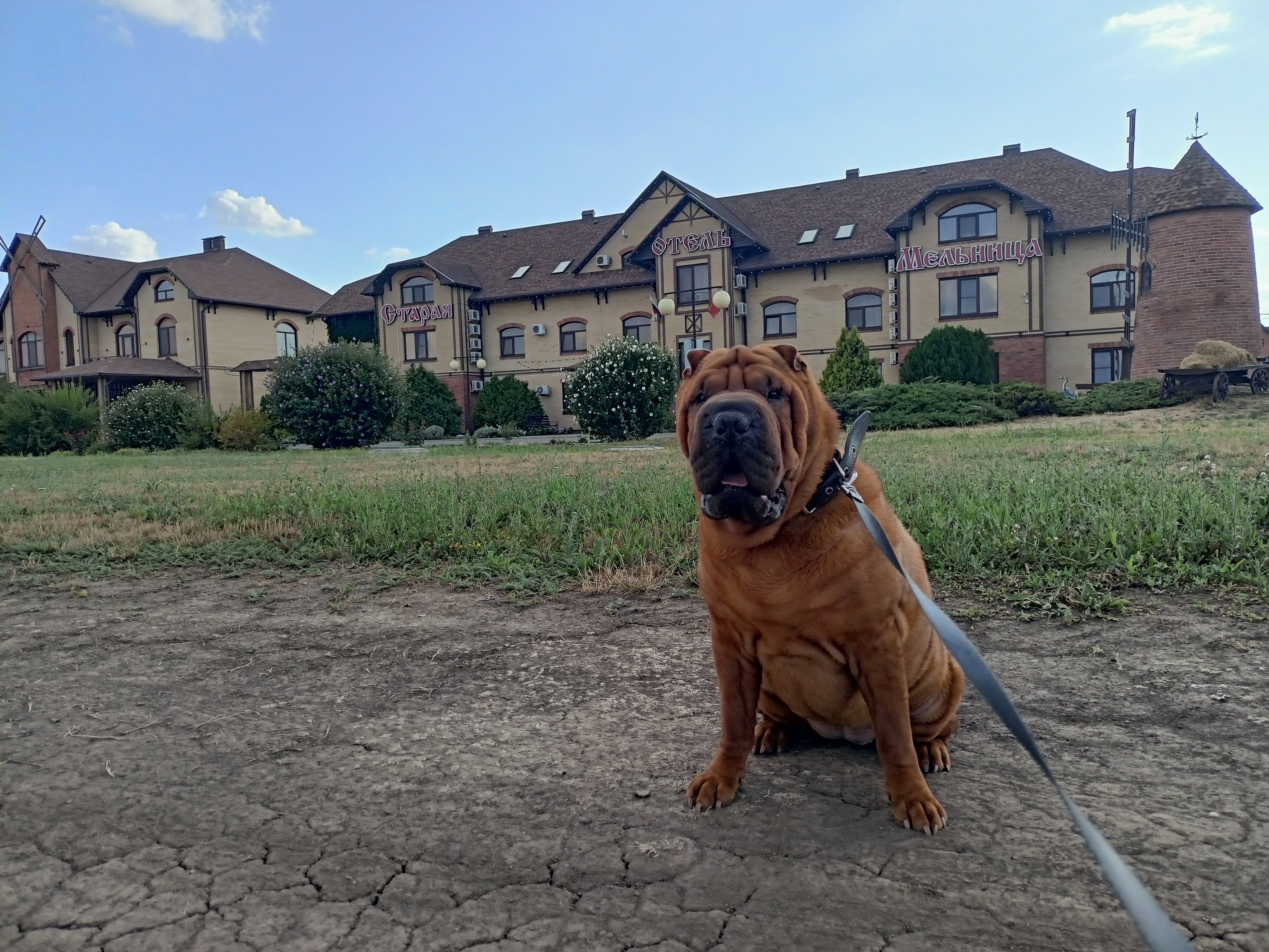 Фото Старая мельница