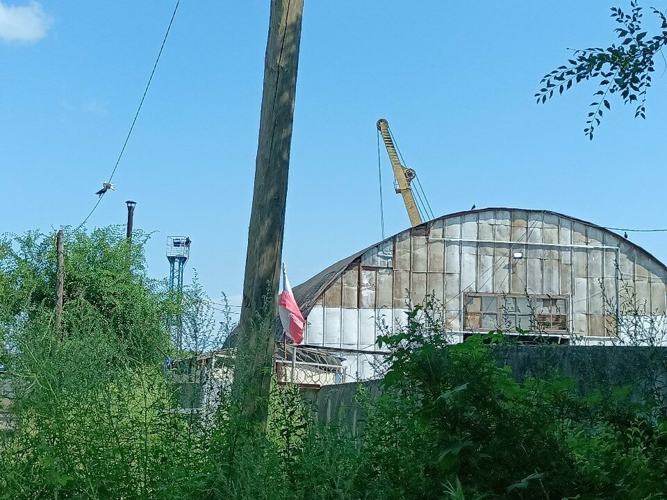 Fodder and feed additives Амурские корма, Blagoveshchensk, photo