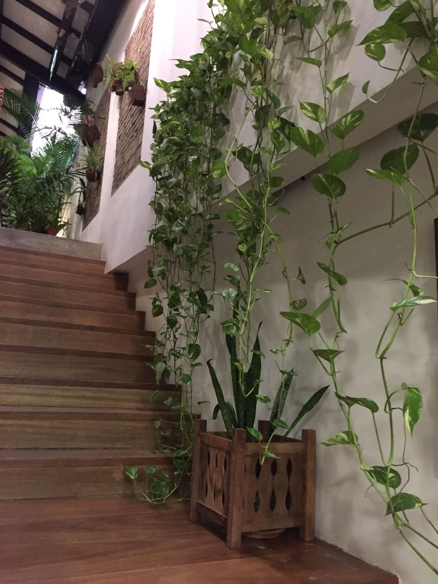 Фото Palm Mansion Boutique Suites