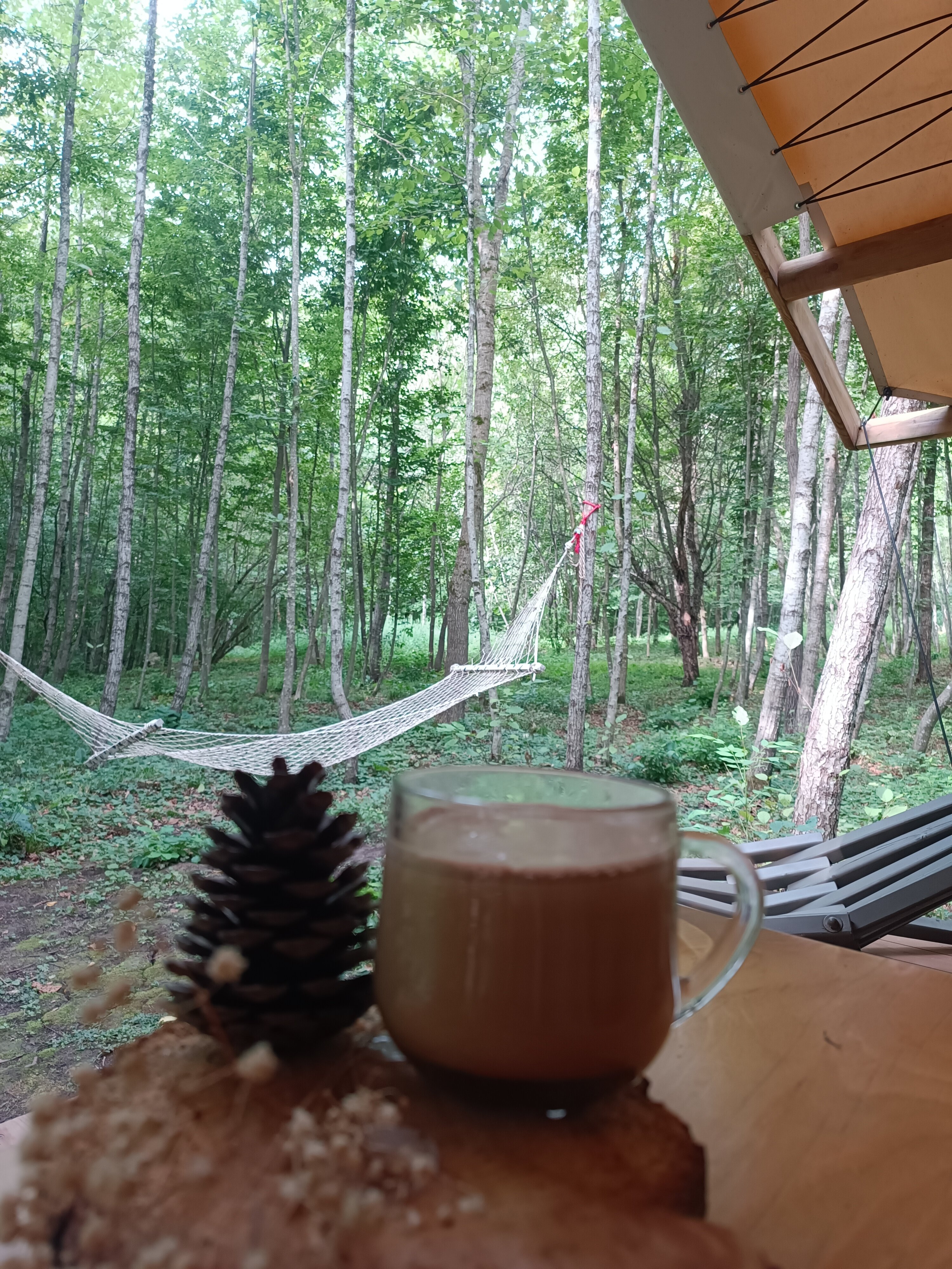 Фото МестоКемп