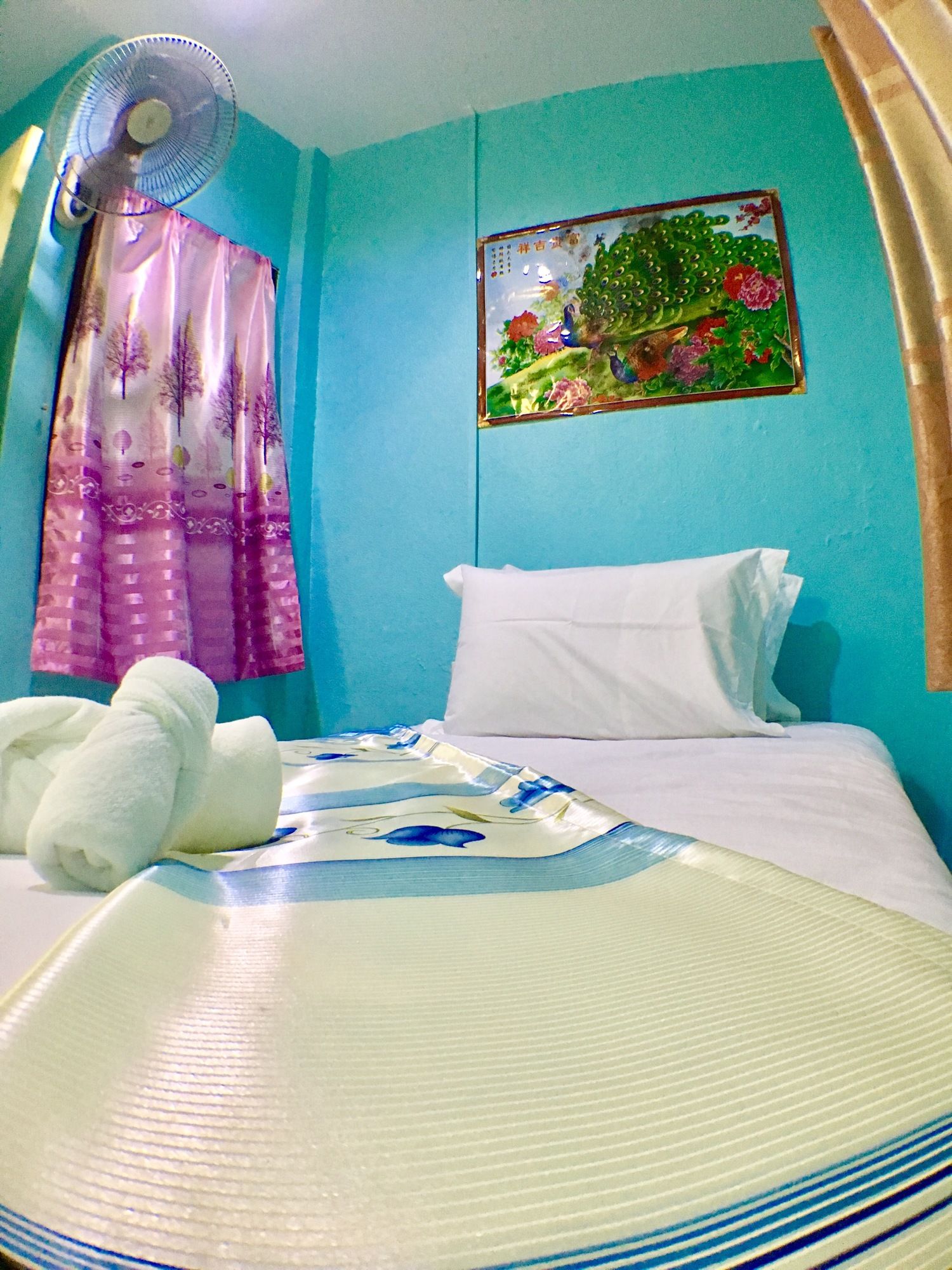 Фото Kata S T House