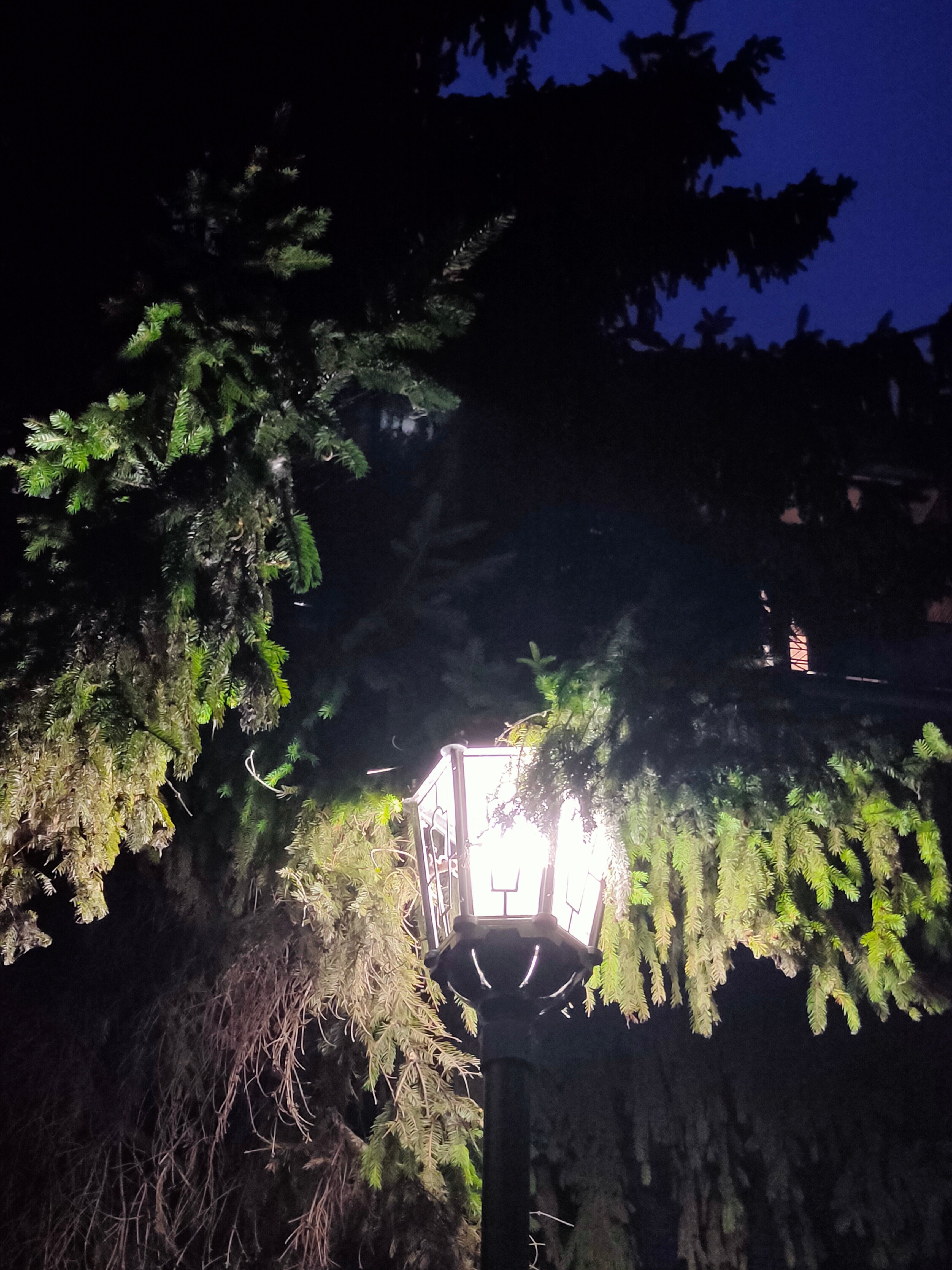 Фото Фрунзенец