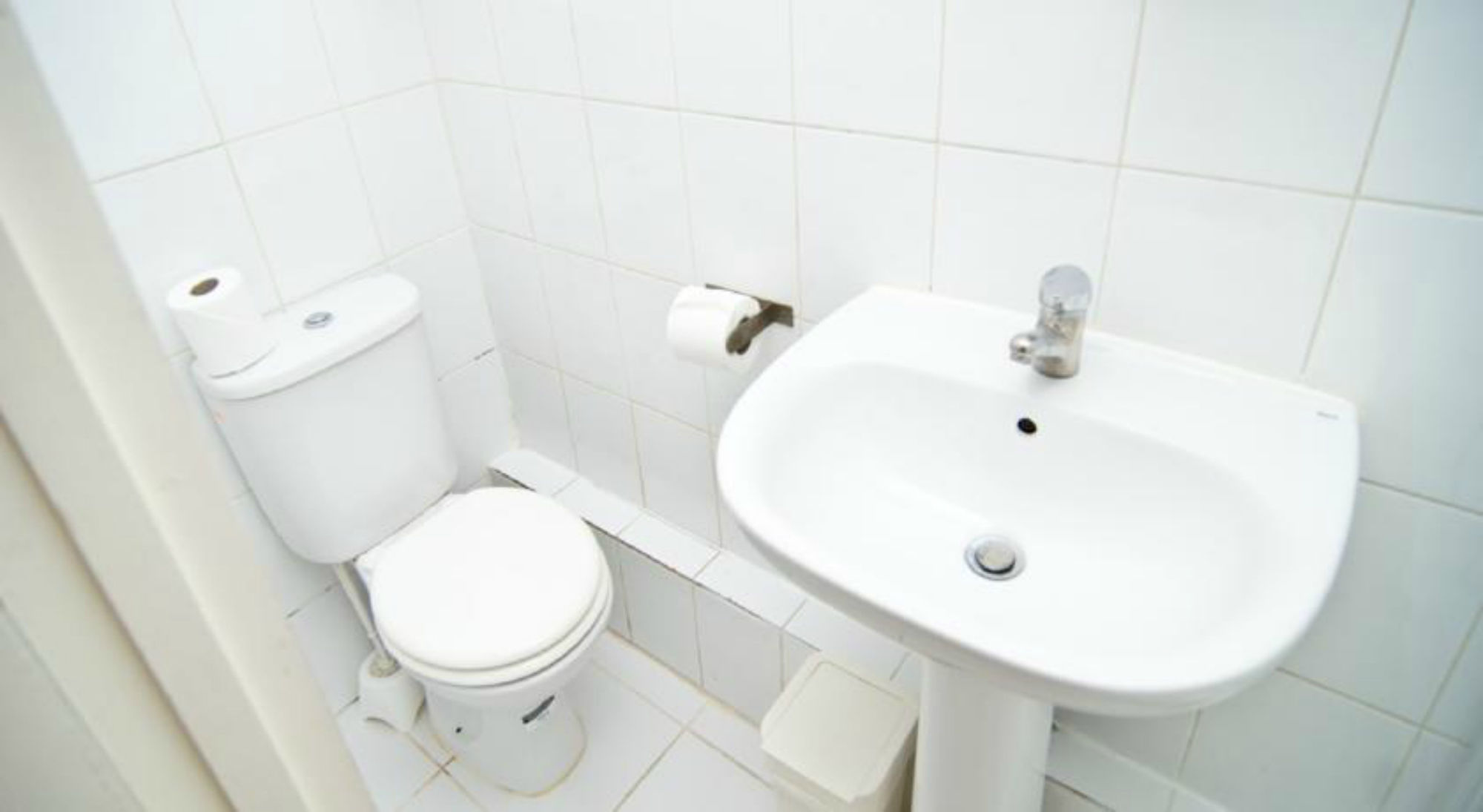 Фото The Windmill