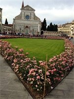 Фото Hotel Tourist House