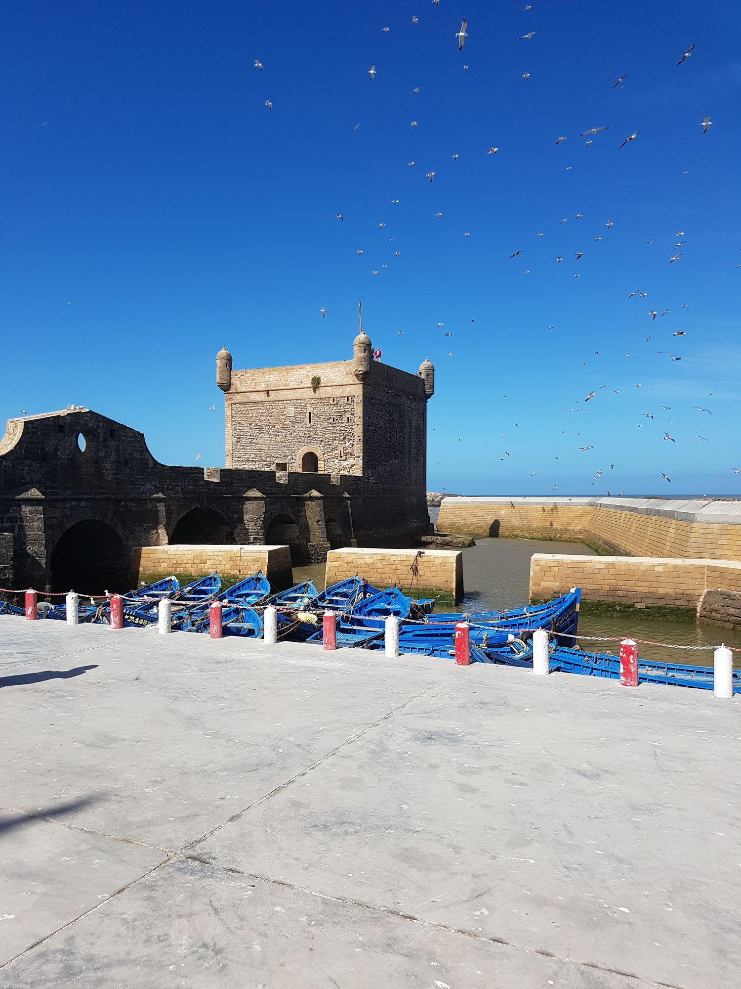 Фото Riad Sidi Magdoul