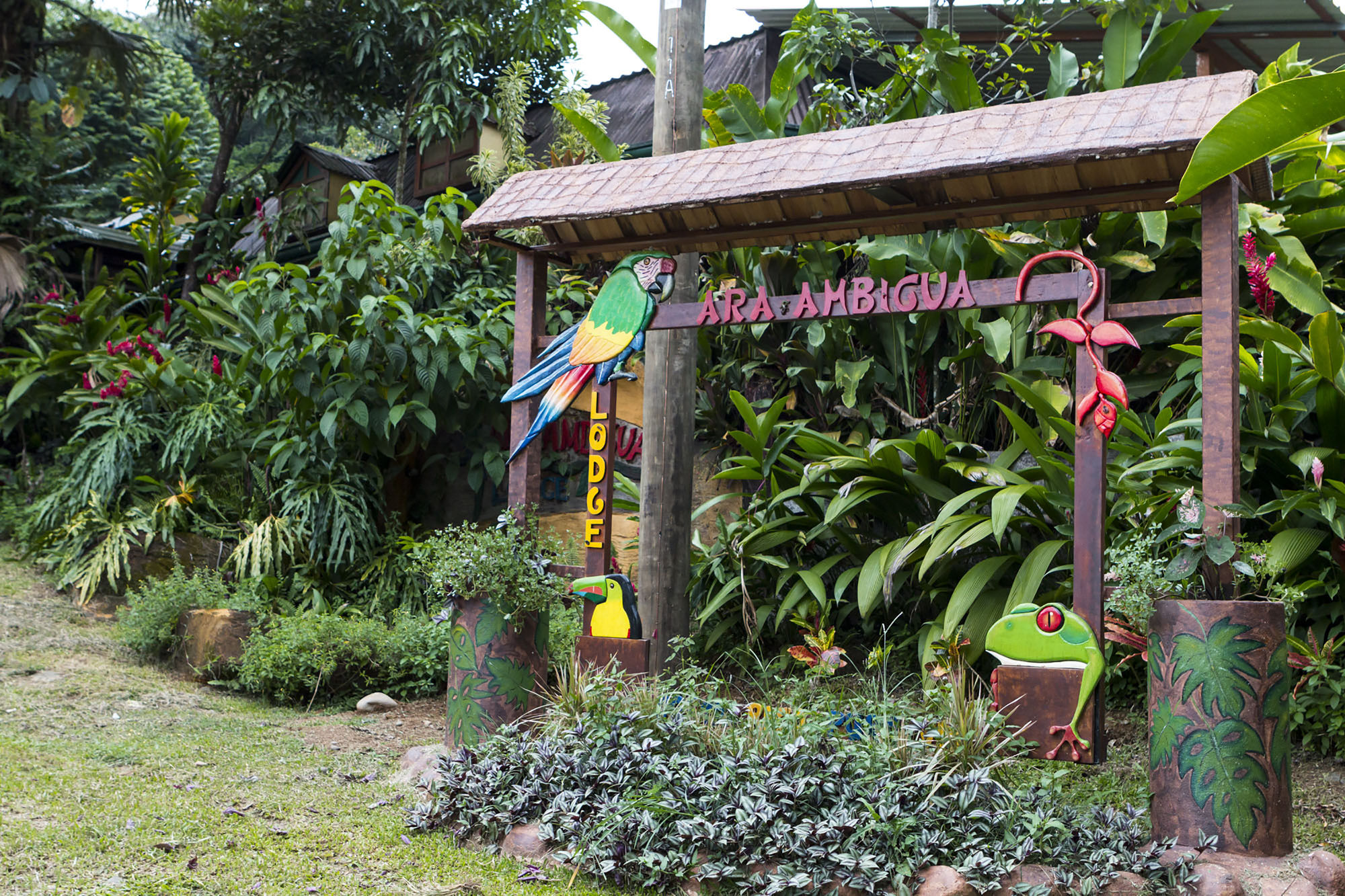 Фото Ara Ambigua Lodge